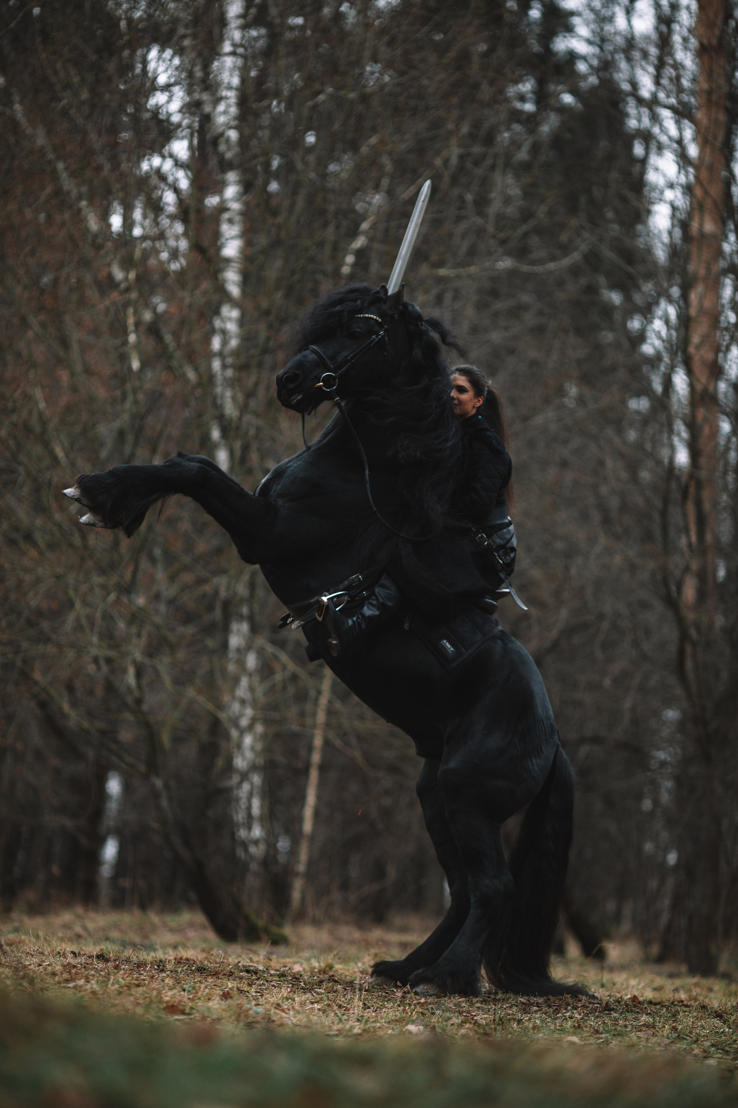 Наташа с фризом в костюме викинга. Фотосессии с лошадьми