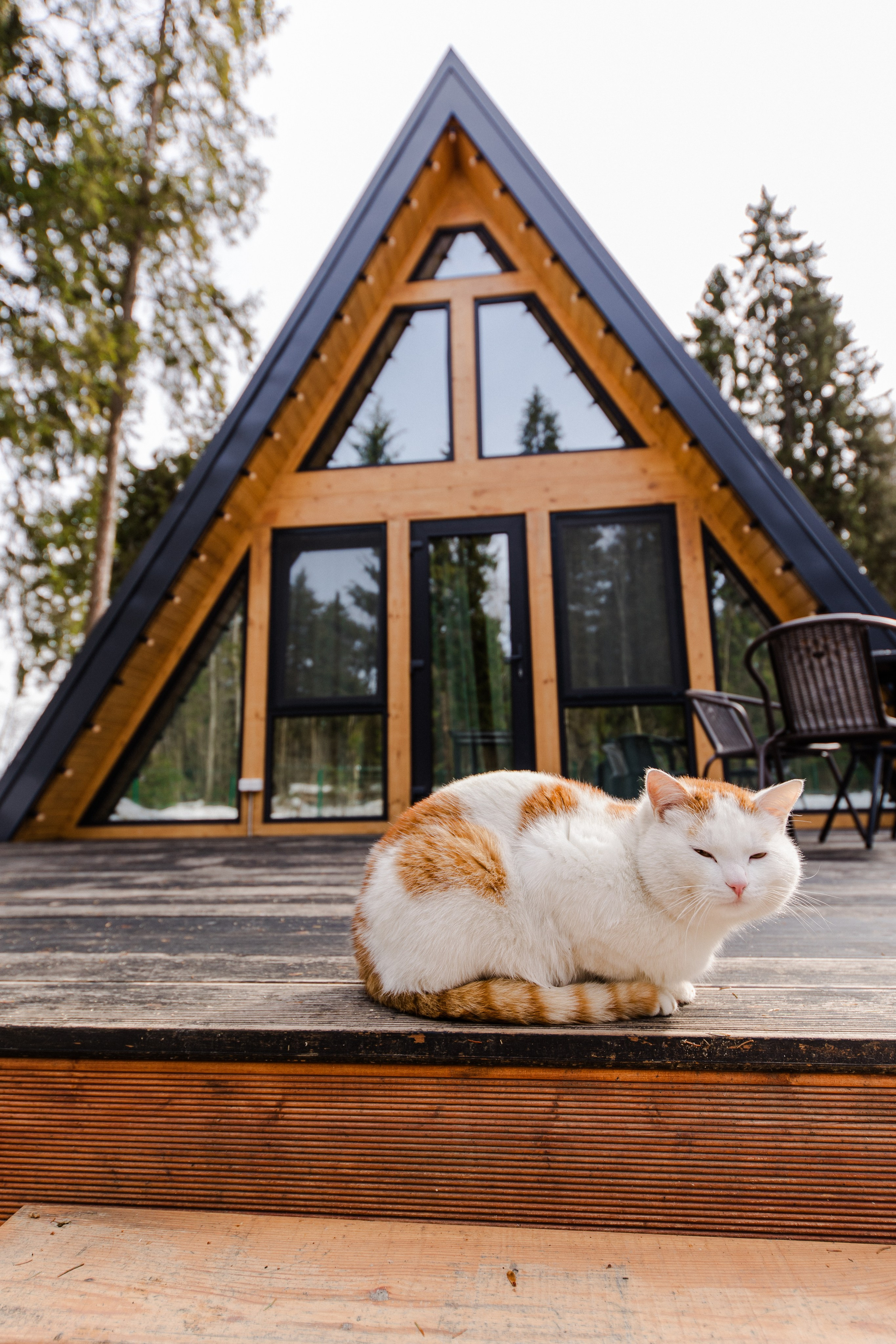 Глемпинг Дивный бор. Семейный и детский фотограф в Москве Кузьмина Мария