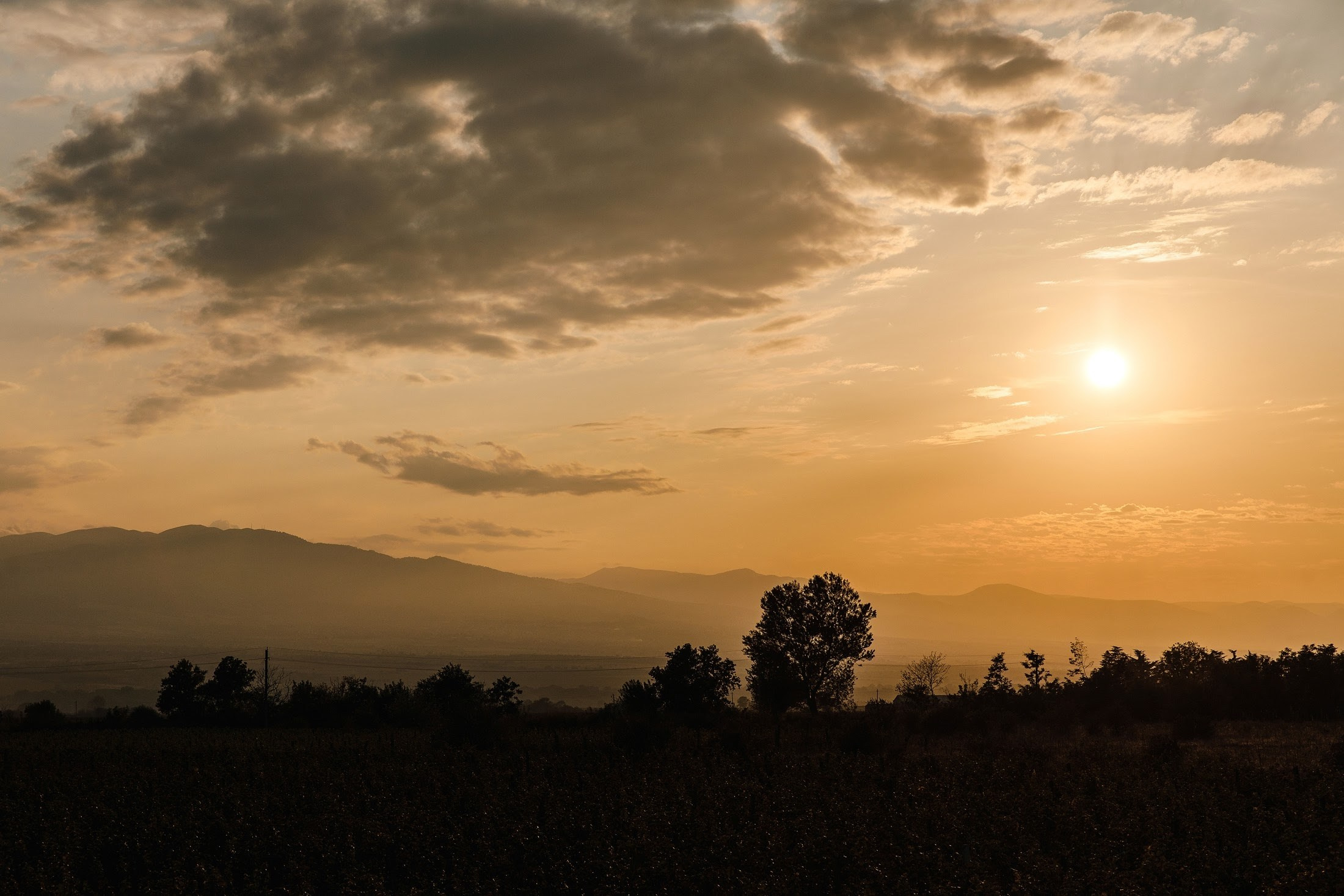 Максим и Алена. Свадебный фотограф в Москве и МО Александр Ласковенков
