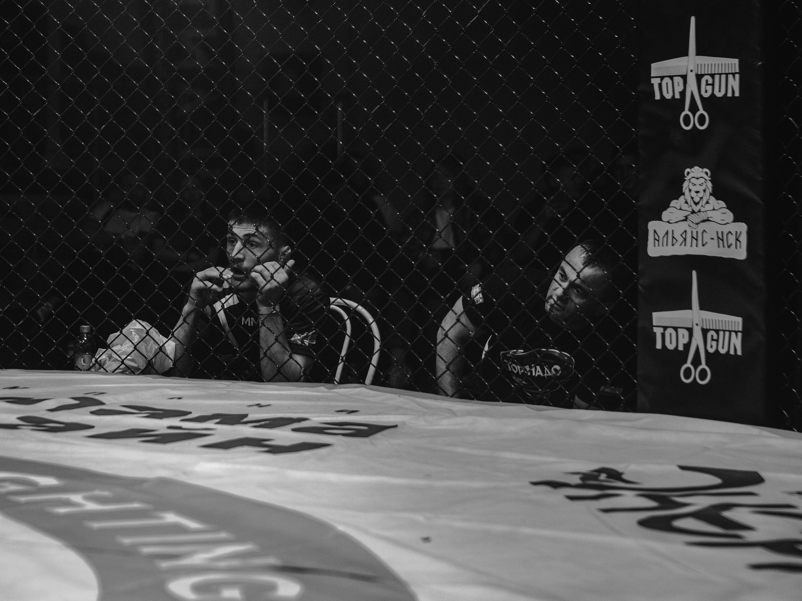 SFL 17 | Siberian Fighting League. Портретный фотограф в Москве Дарья Цезария