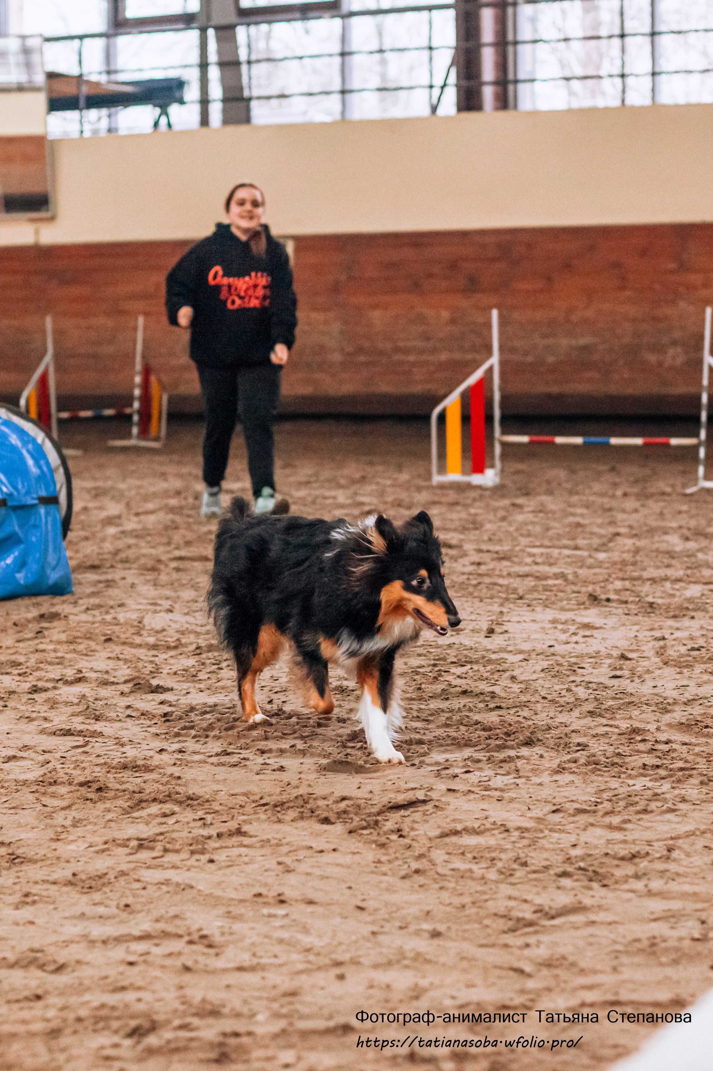 Соревнования по Аджилити 25.02.2024. Фотограф-анималист Татьяна Степанова