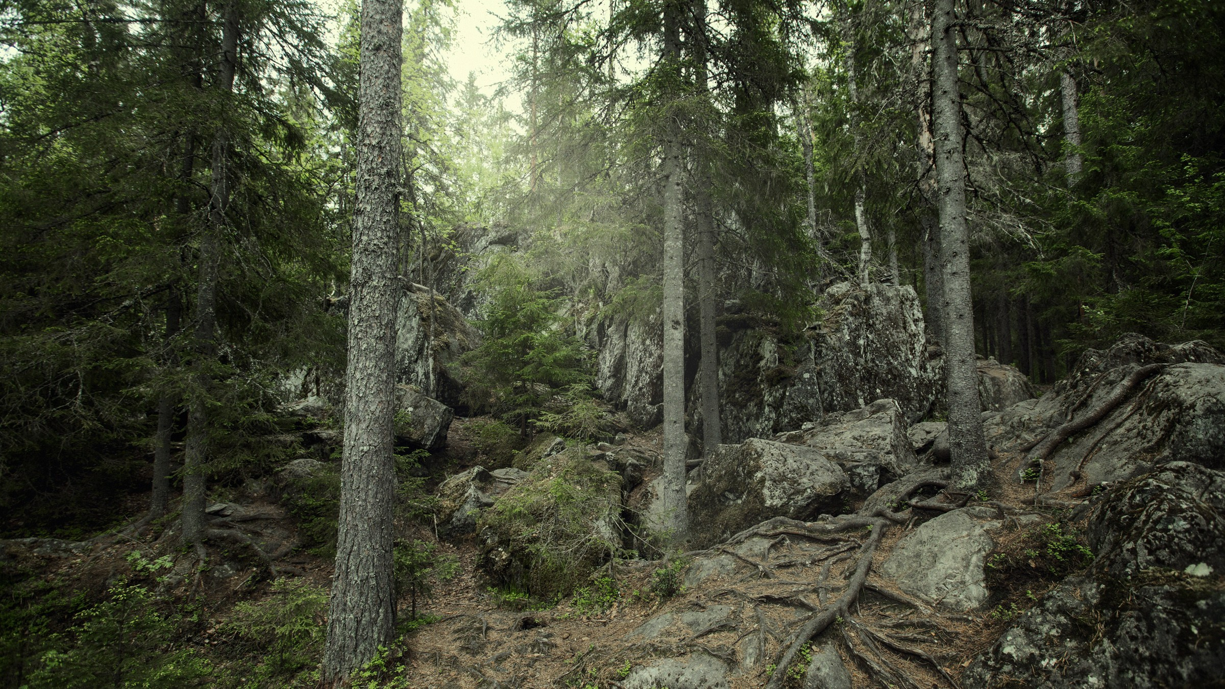 ФотоТур Сергея Спирина в Карелию 2025. Фотограф и режиссер Сергей Спирин. Москва