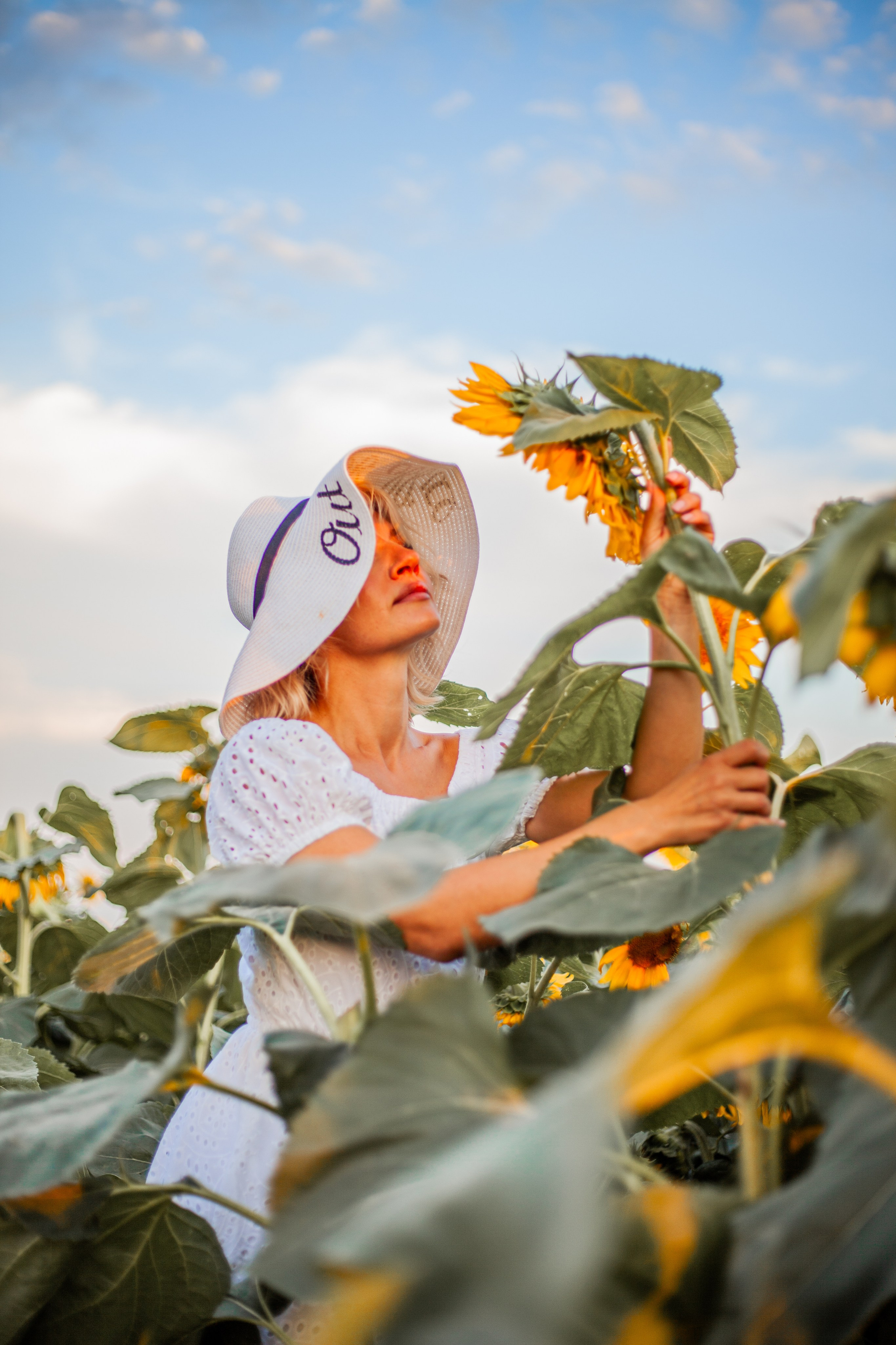 Подсолнухи!