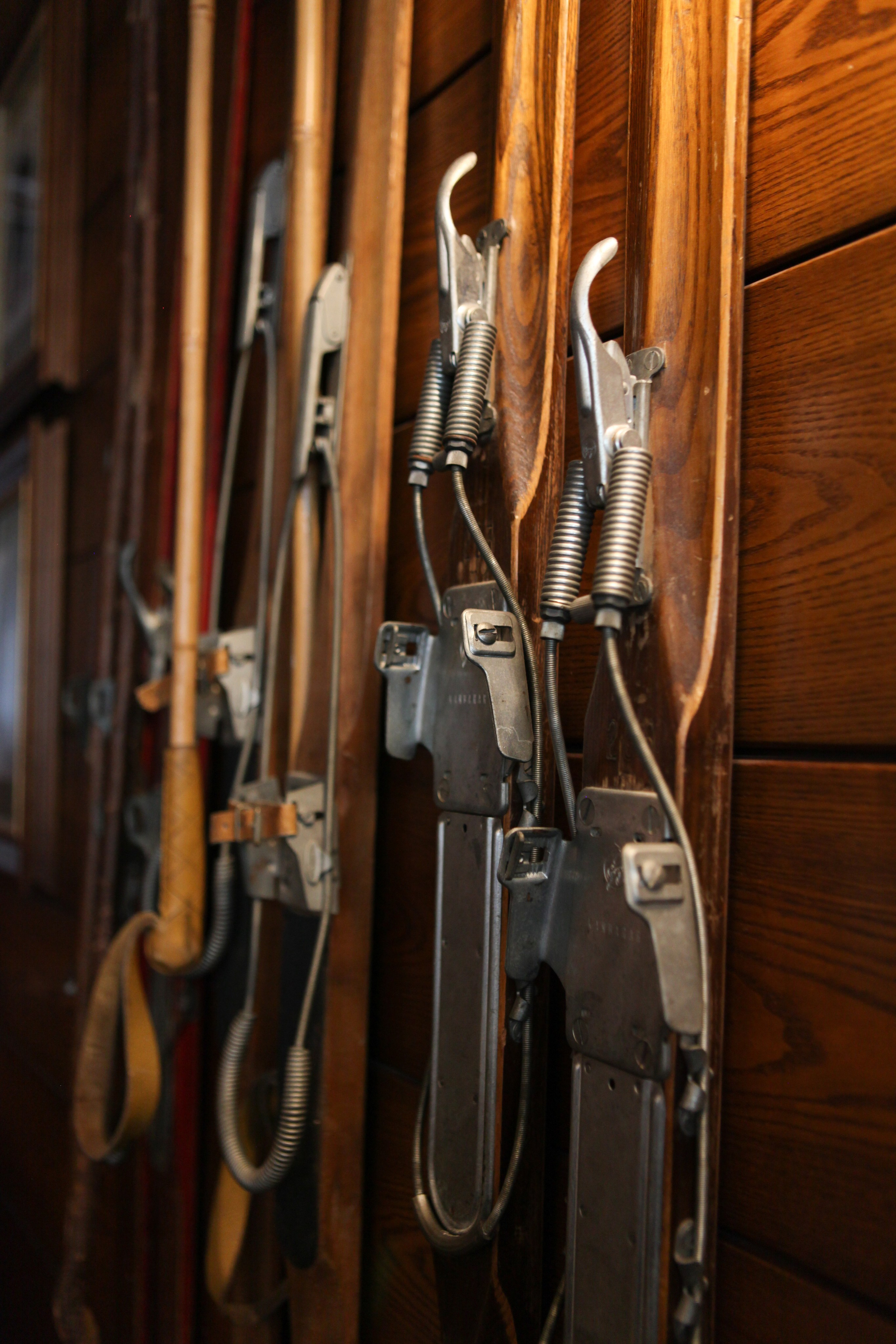 Хозяин Тайги. Фотограф Дарья Локотко в Красноярске