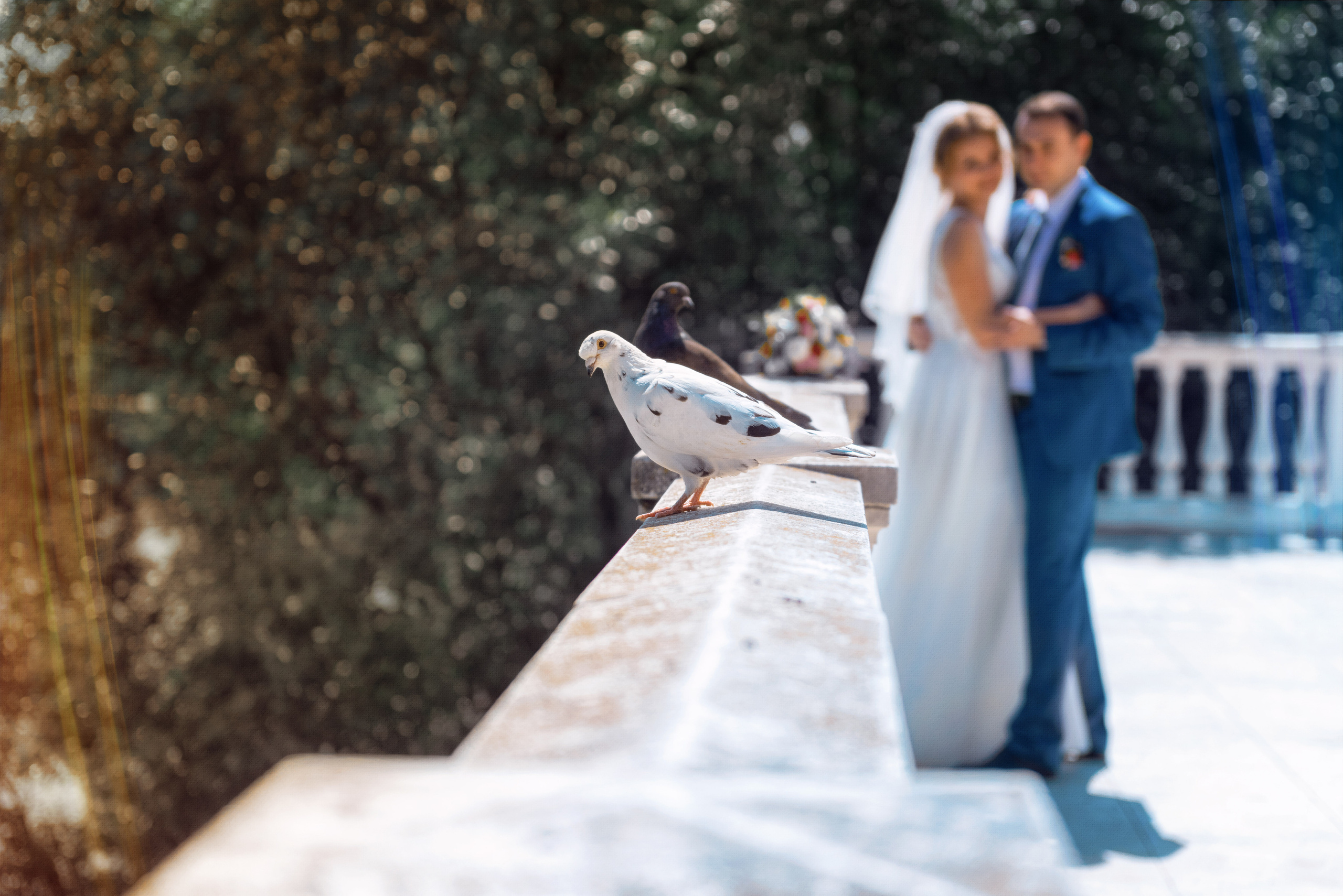 Творческая студия «Махавик». Свадебная фото и видеосъёмка в Подольске