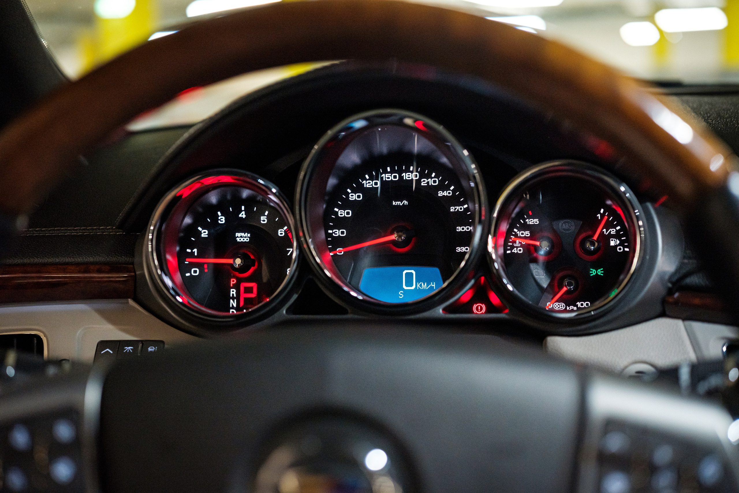 Кэдди. Алексей Никифоров фотограф Москва, Химки