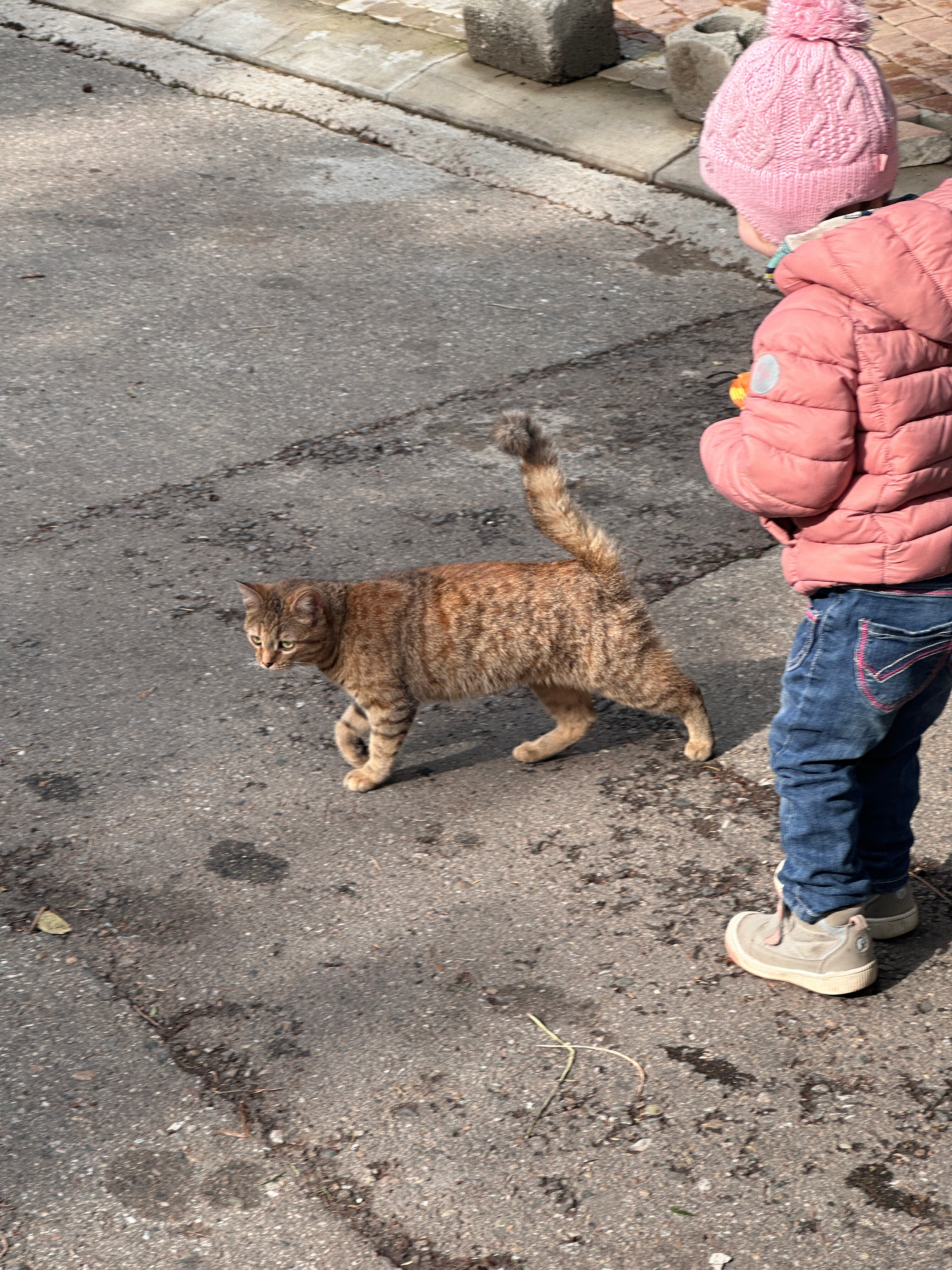 Дети. Смотри, красота!