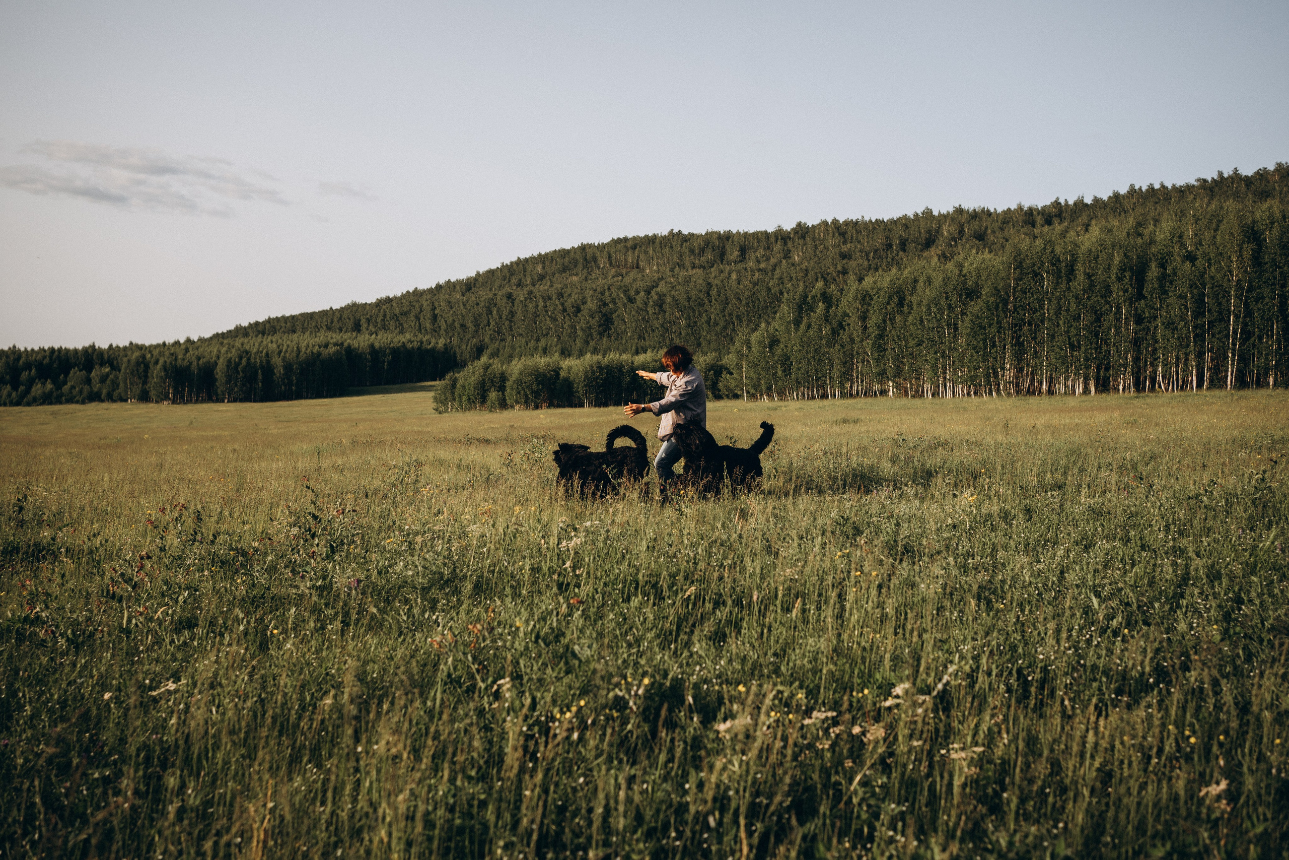Лариса, Кира и Грэйс. Фотограф-анималист Анастасия Большакова