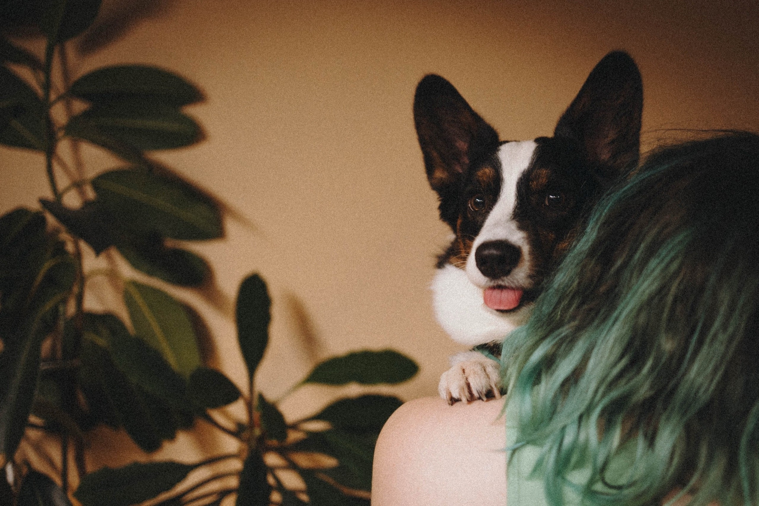 Курсы на фотографа-анималиста