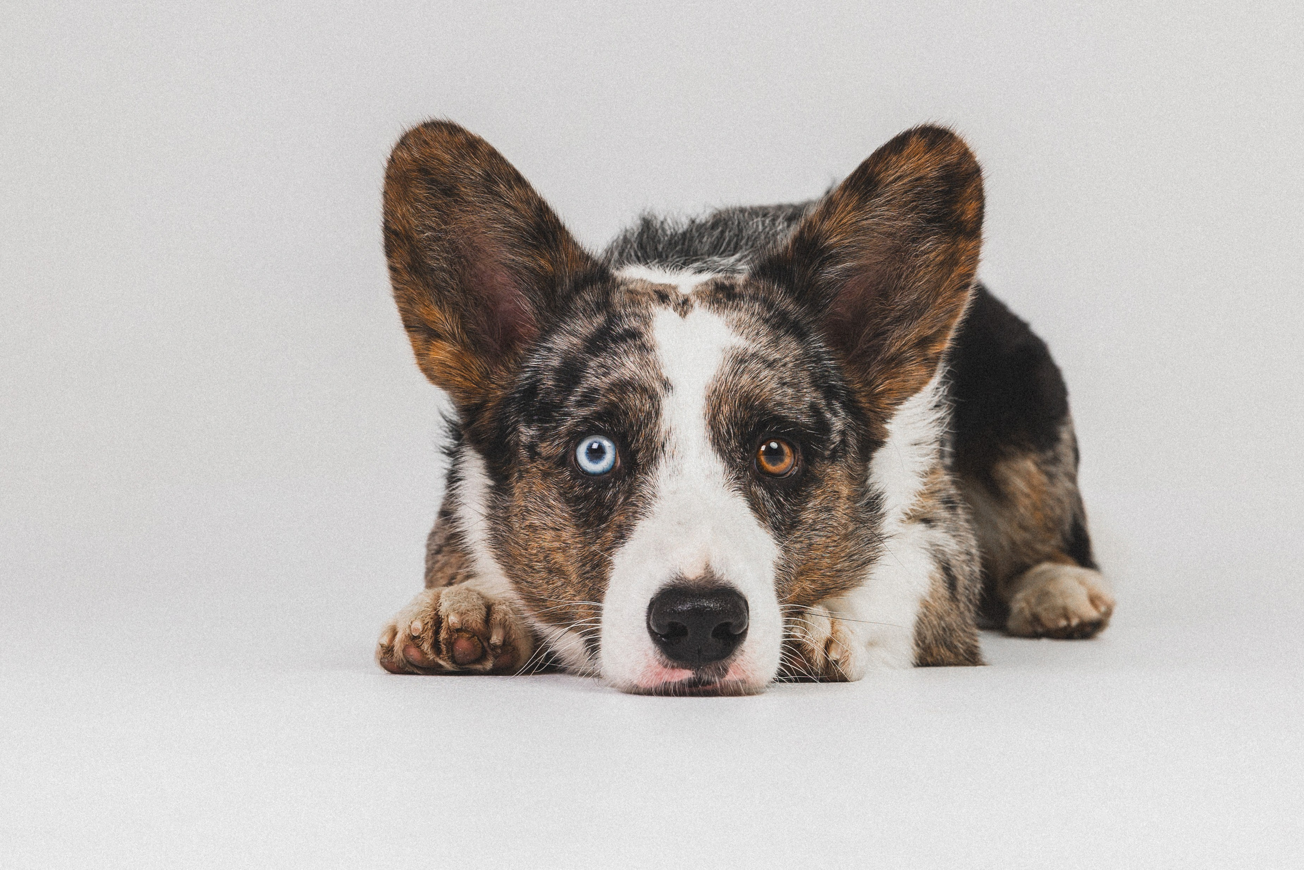 Анатолий и Рагнар