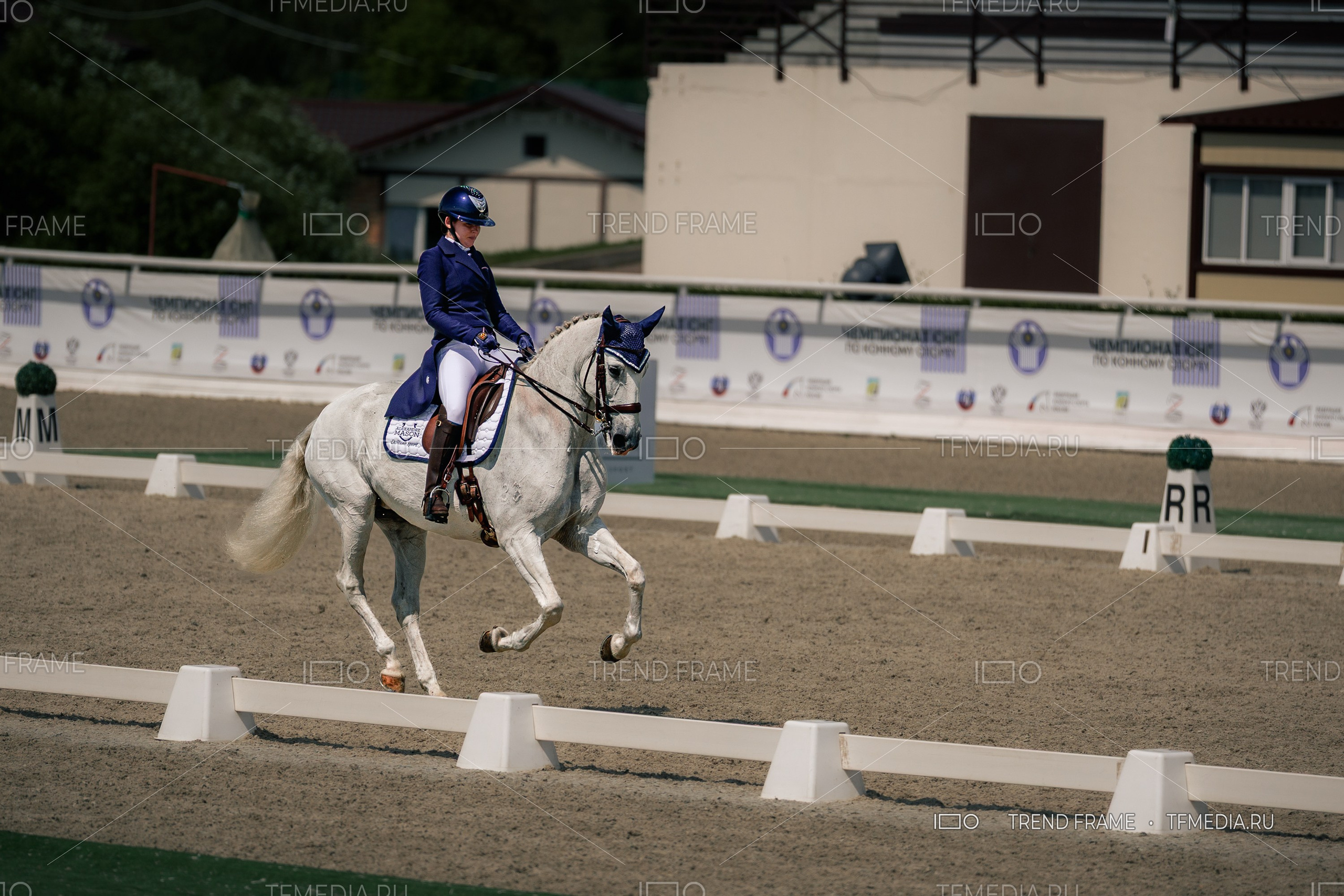 Выездка на белой лошади — всадница в синем костюме на Евразийских Играх 2025, Maxima Park. Премиальная фотосъёмка TrendFrame.