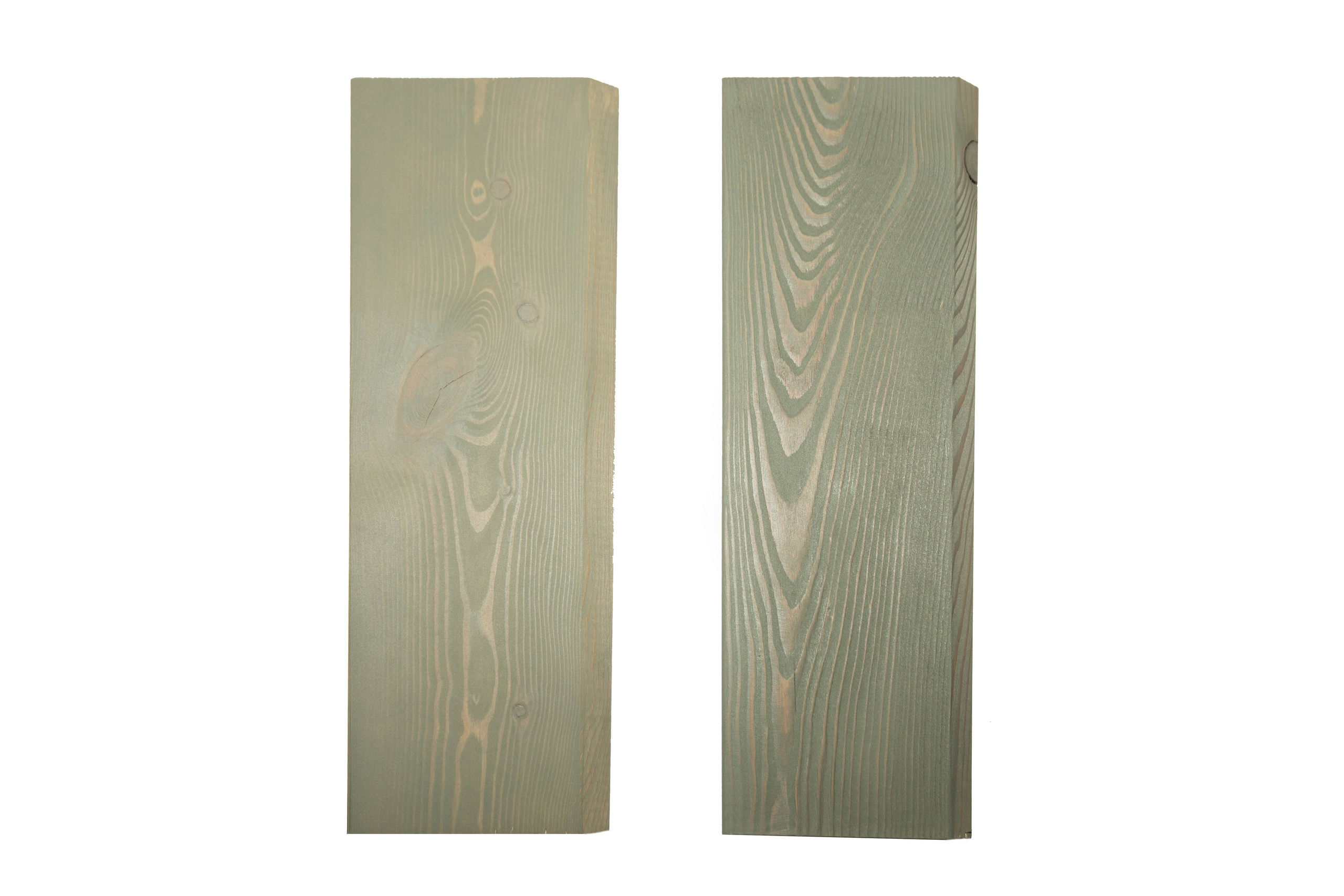 Дерево. Фотограф