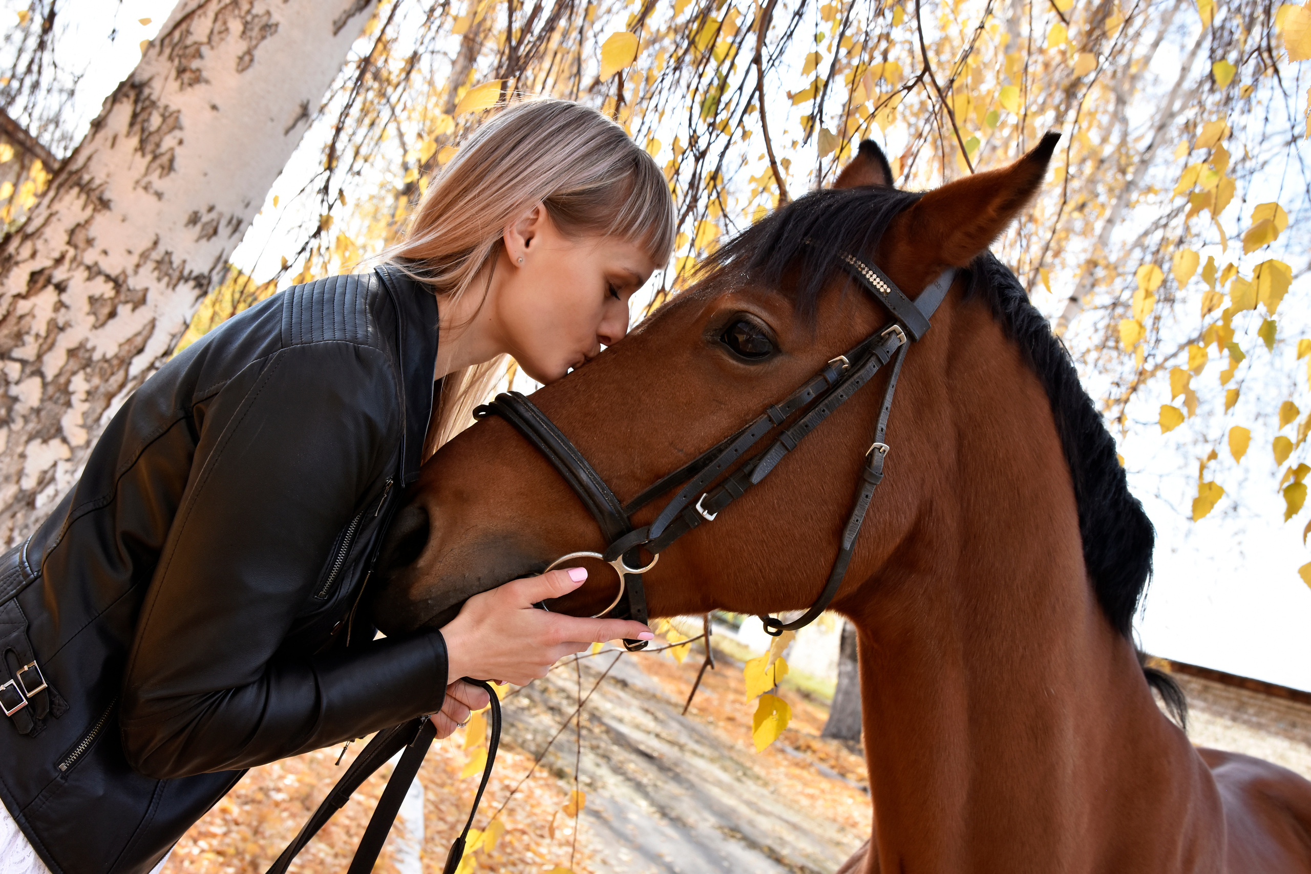 Машенька и Бурбон
