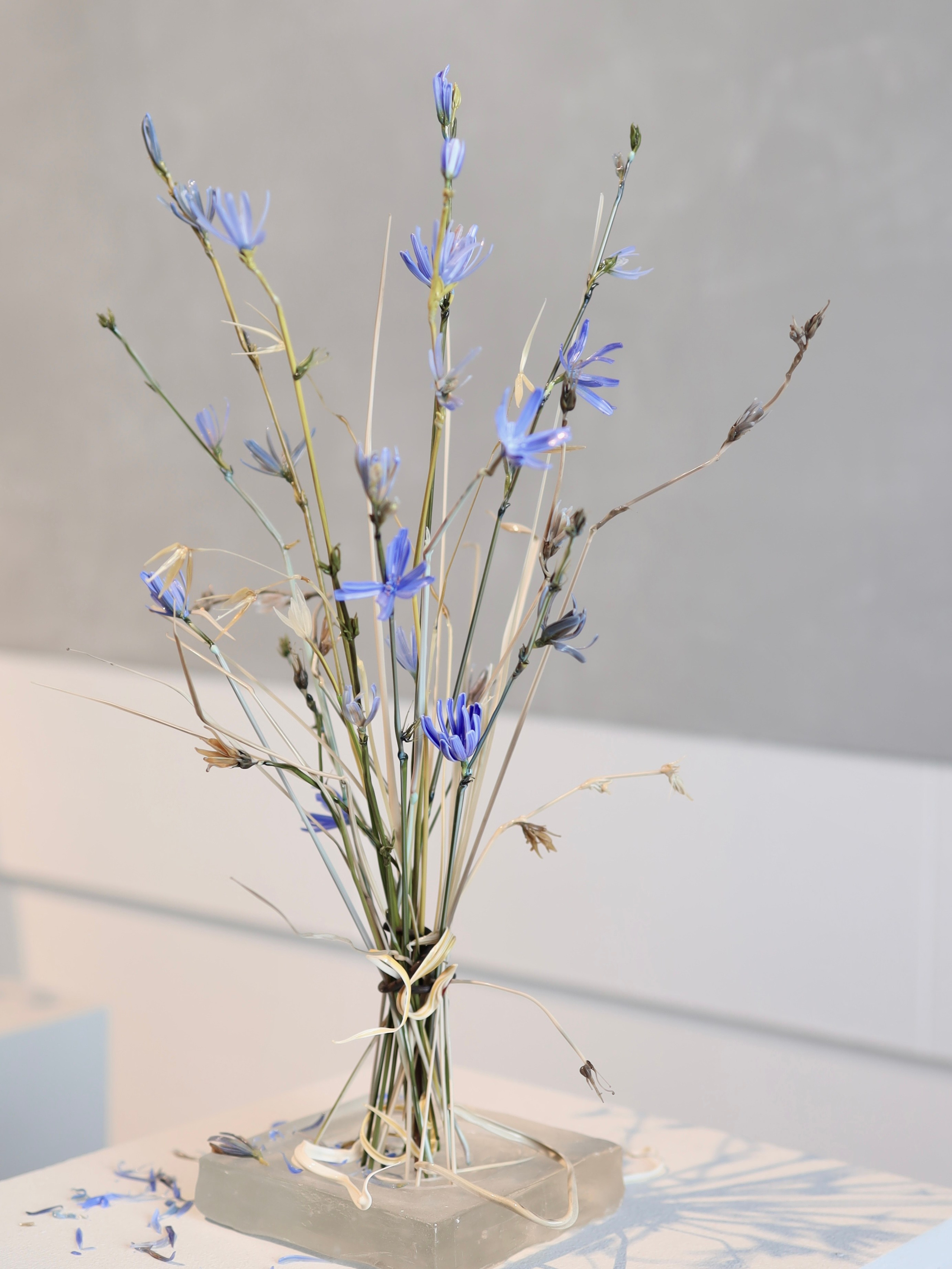 Выставка Степени прозрачности. Фотосессии и репортаж — Фотограф в Москве — Рина Серёгина