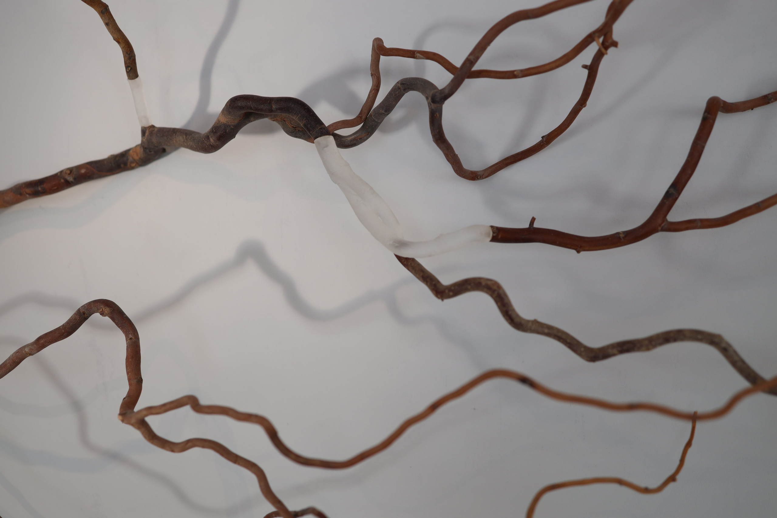 Выставка Степени прозрачности. Фотосессии и репортаж — Фотограф в Москве — Рина Серёгина