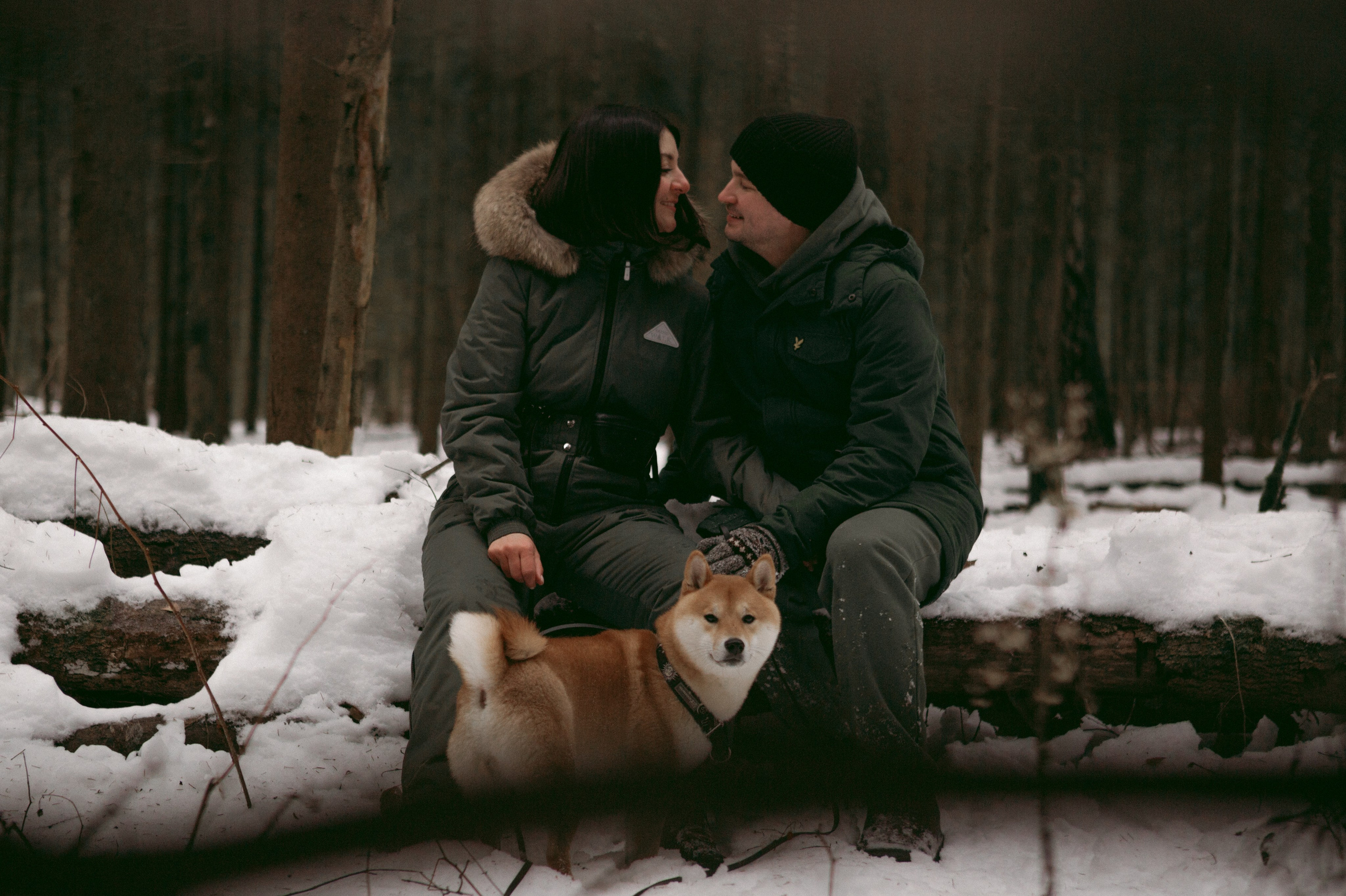 Katya, Dima, Rokki. Portrait, family and pet photographer in Cyprus, Ksenia Bourdelle