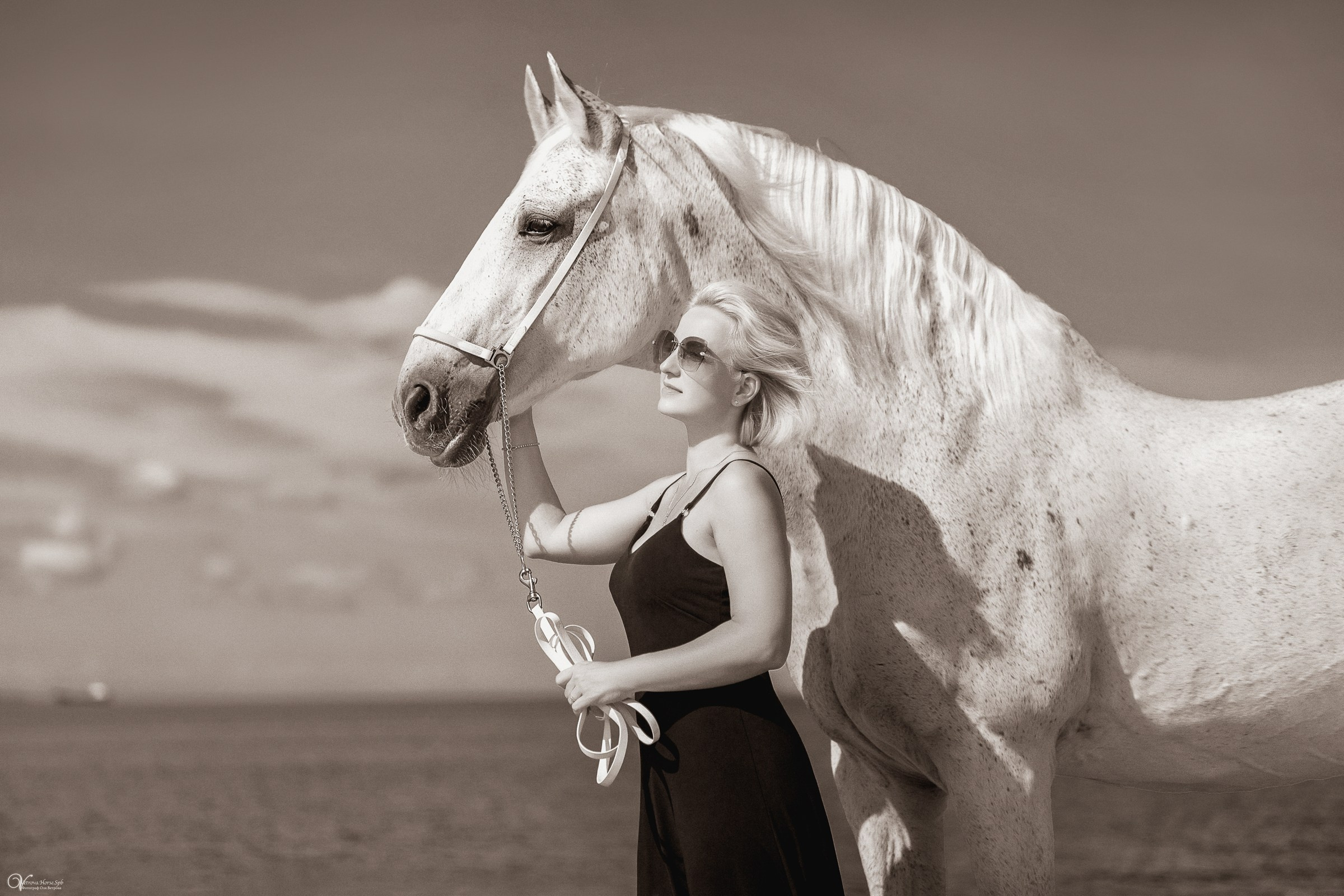 Фотосессия с белой лошадью на заливе СПБ. Фотограф женский и мужской портрет Санкт-Петербург
