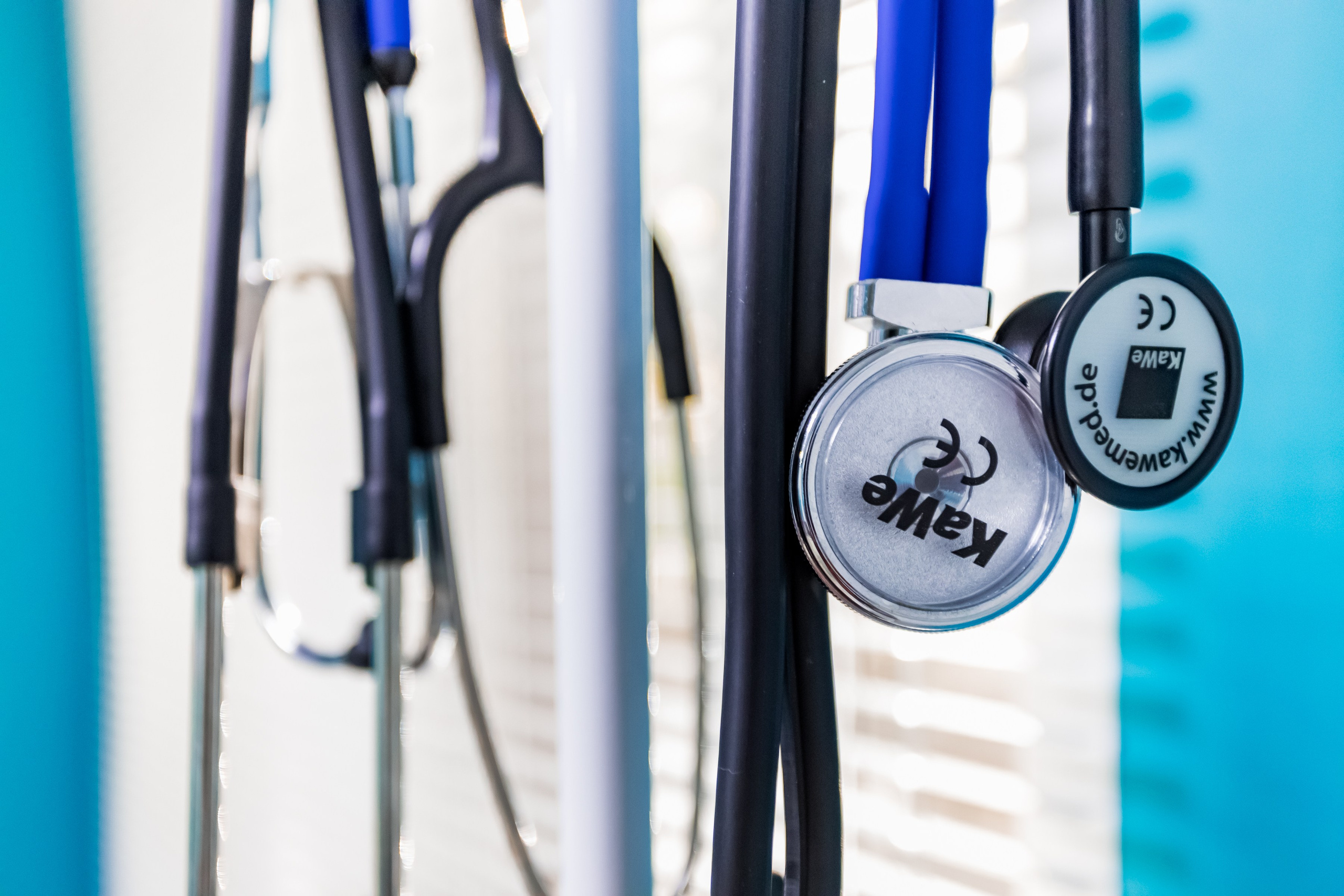 Интерьерная съемка для ветеринарной клиники Прив-вет. Интерьеры, Контент, Портреты | Фотограф в Москве Дани Терно