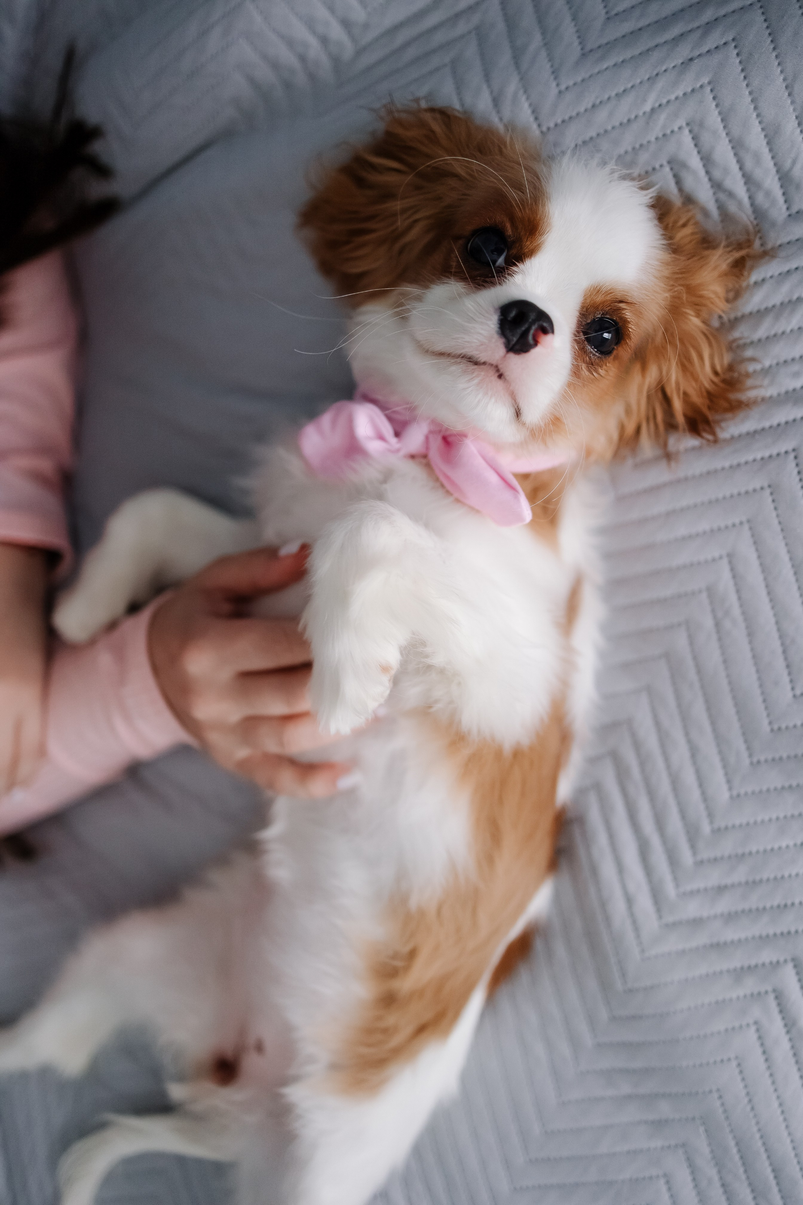 Хочу надеть купальник (Николаево). Свадебный фотограф