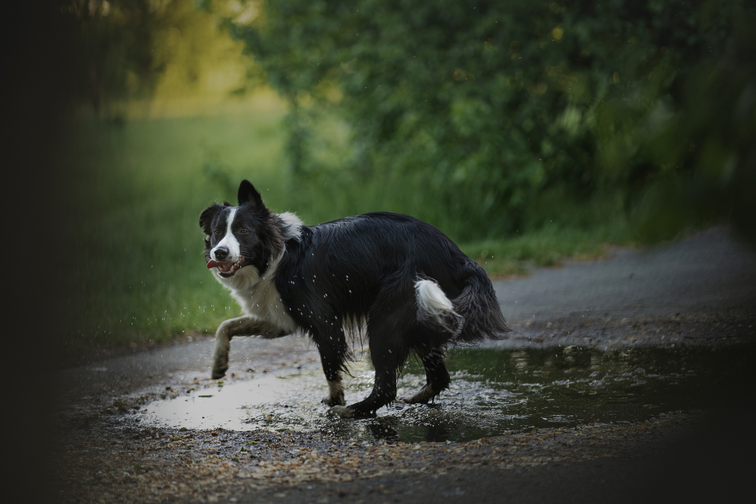 Люба + Близ (рассветная съемка). Kameramotor74
