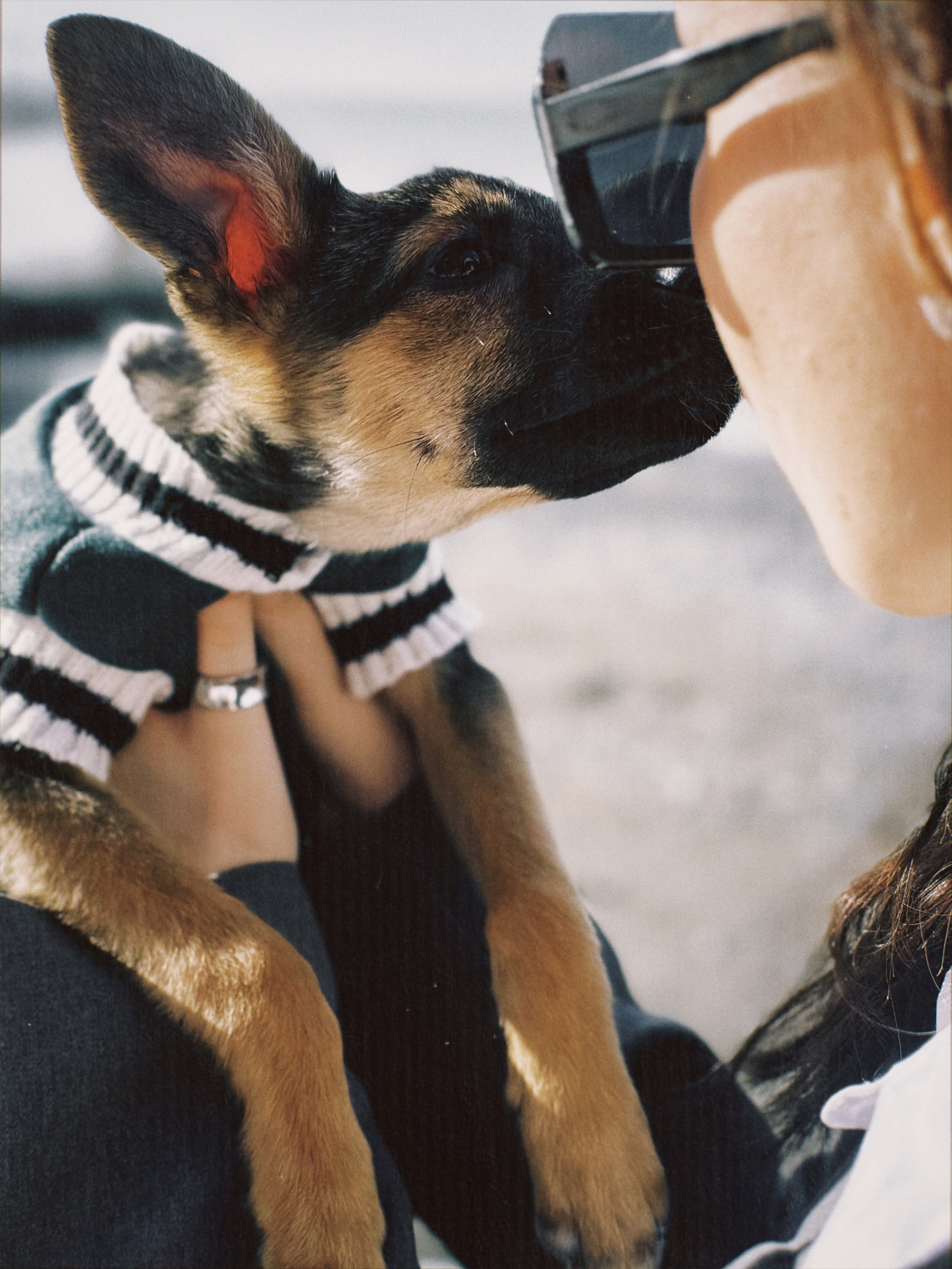 Дама с собачкой. Чувственный мобильный фотограф в Казани и Сочи Дьяченко Дарья