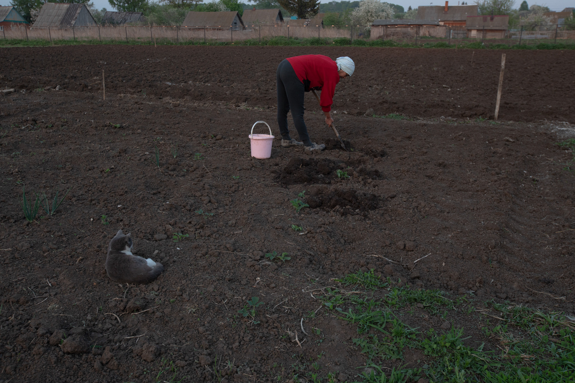 Rural paramedics. Natalya Madilyan