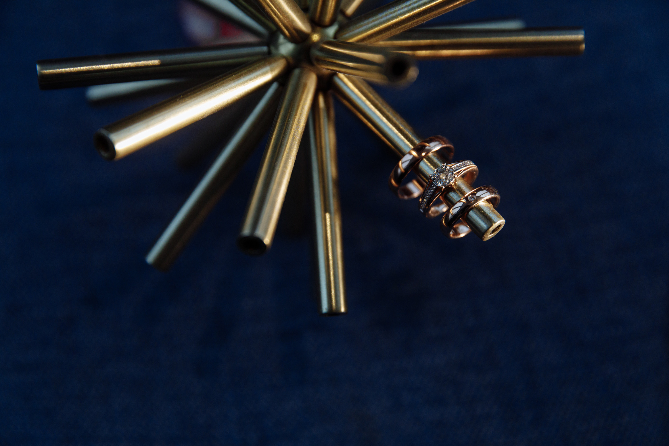 Валерий и Даниела. Анонс