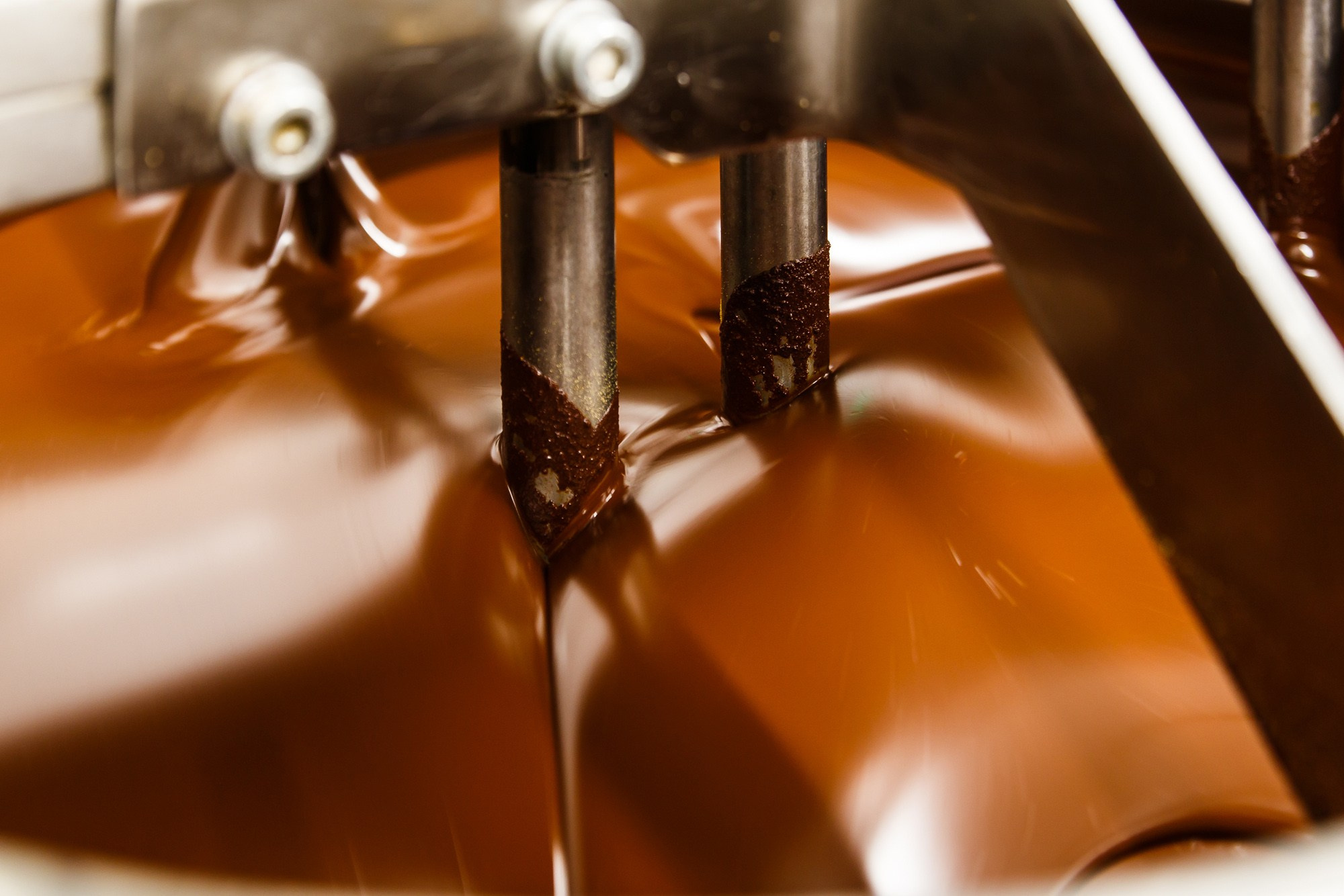 Mojo cacao. Фотограф Ксения Колесникова. Интерьерная и портретная съемка в Москве