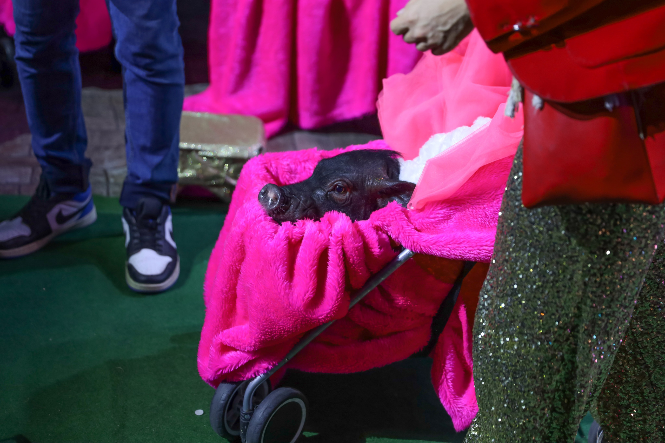 ДЕНЬ РОЖДЕНИЯ ЕВЫ В КРБ. Фотограф мероприятий Ирина Каширина