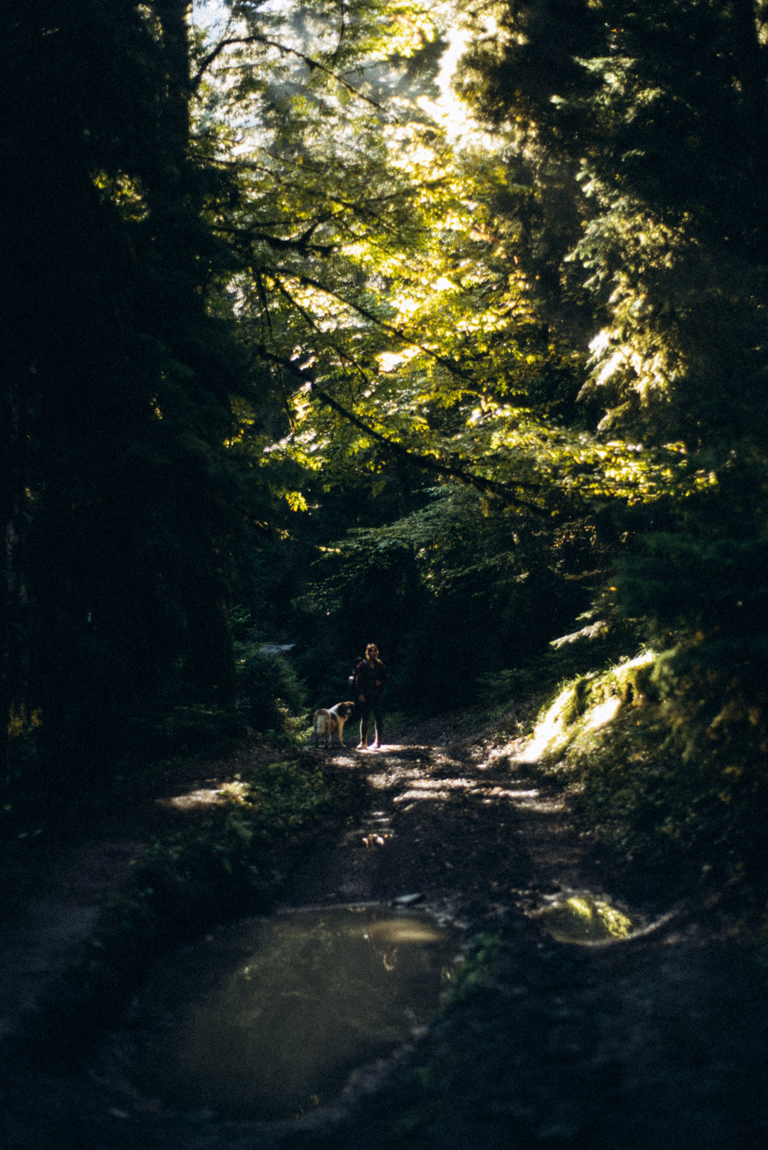 Боржоми, Грузия 🇬🇪. Anita_photo