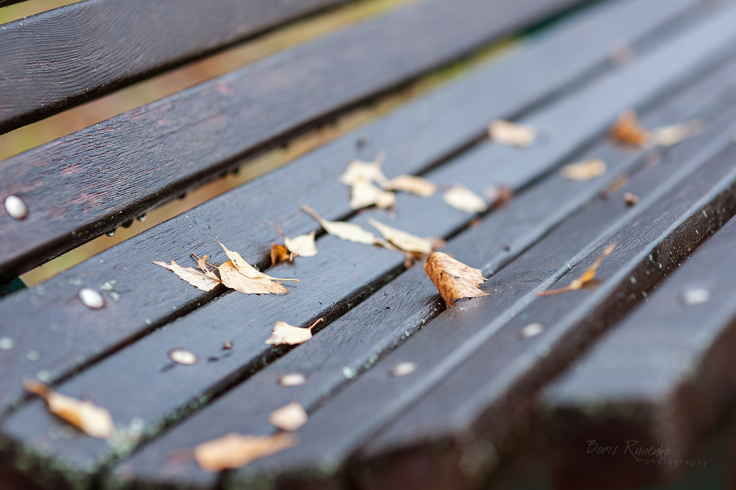 Пейзажный альбом 2. Борис Руненко. Пейзажный и travel-фотограф