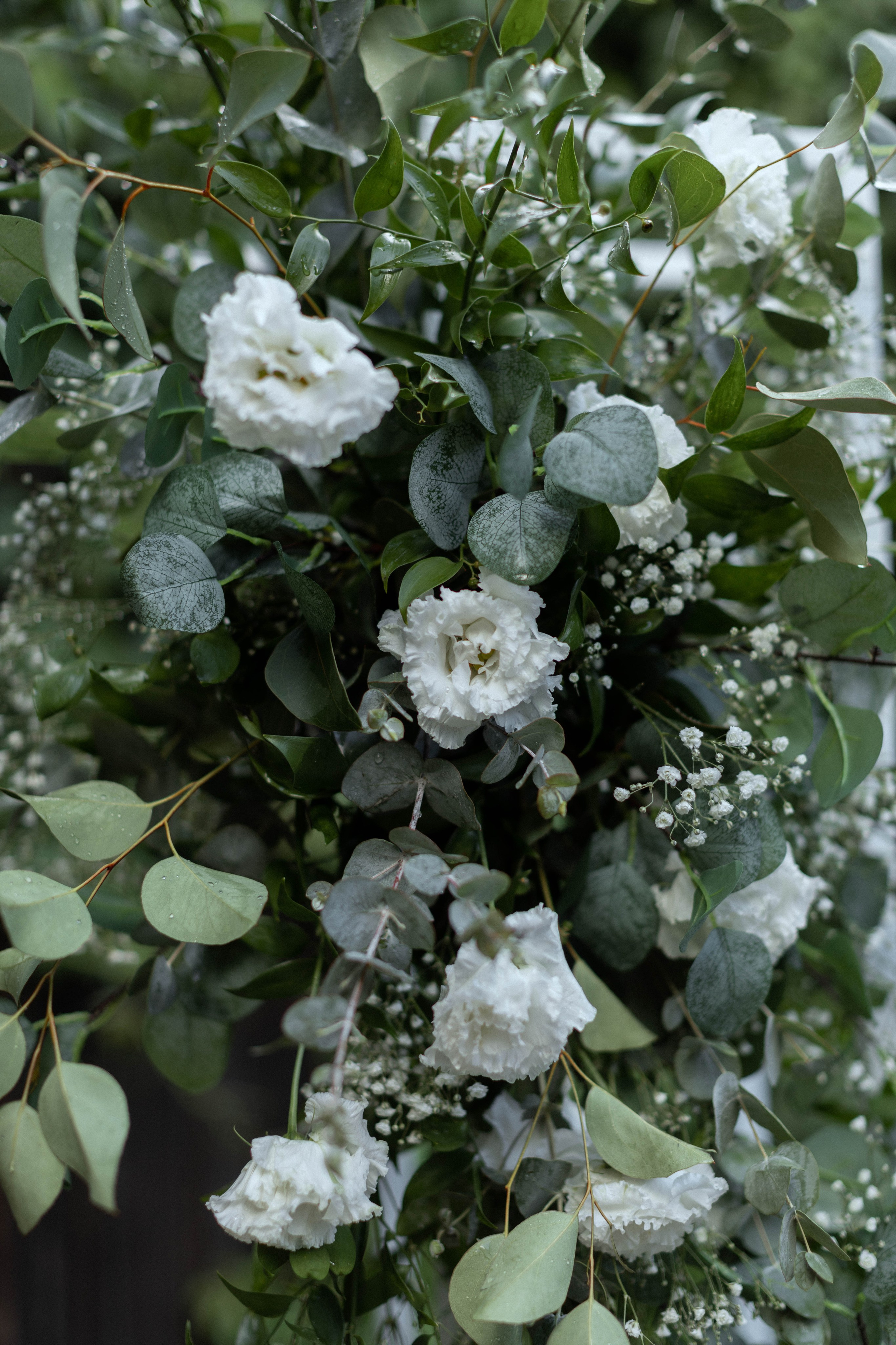 Серёжа | Даша (г. Киров)