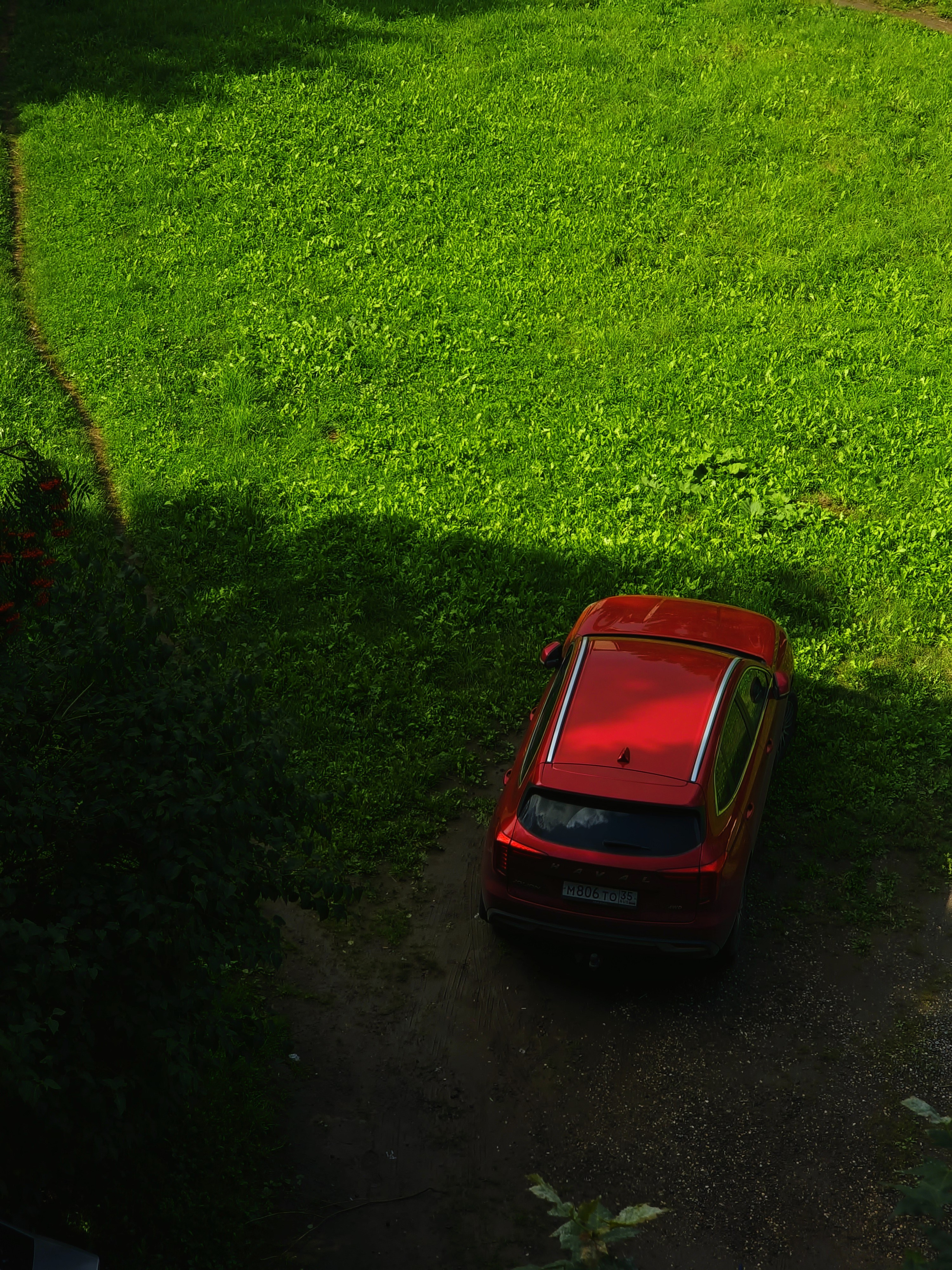 Август 2025. Den Mirov — Фотограф, Музыкант