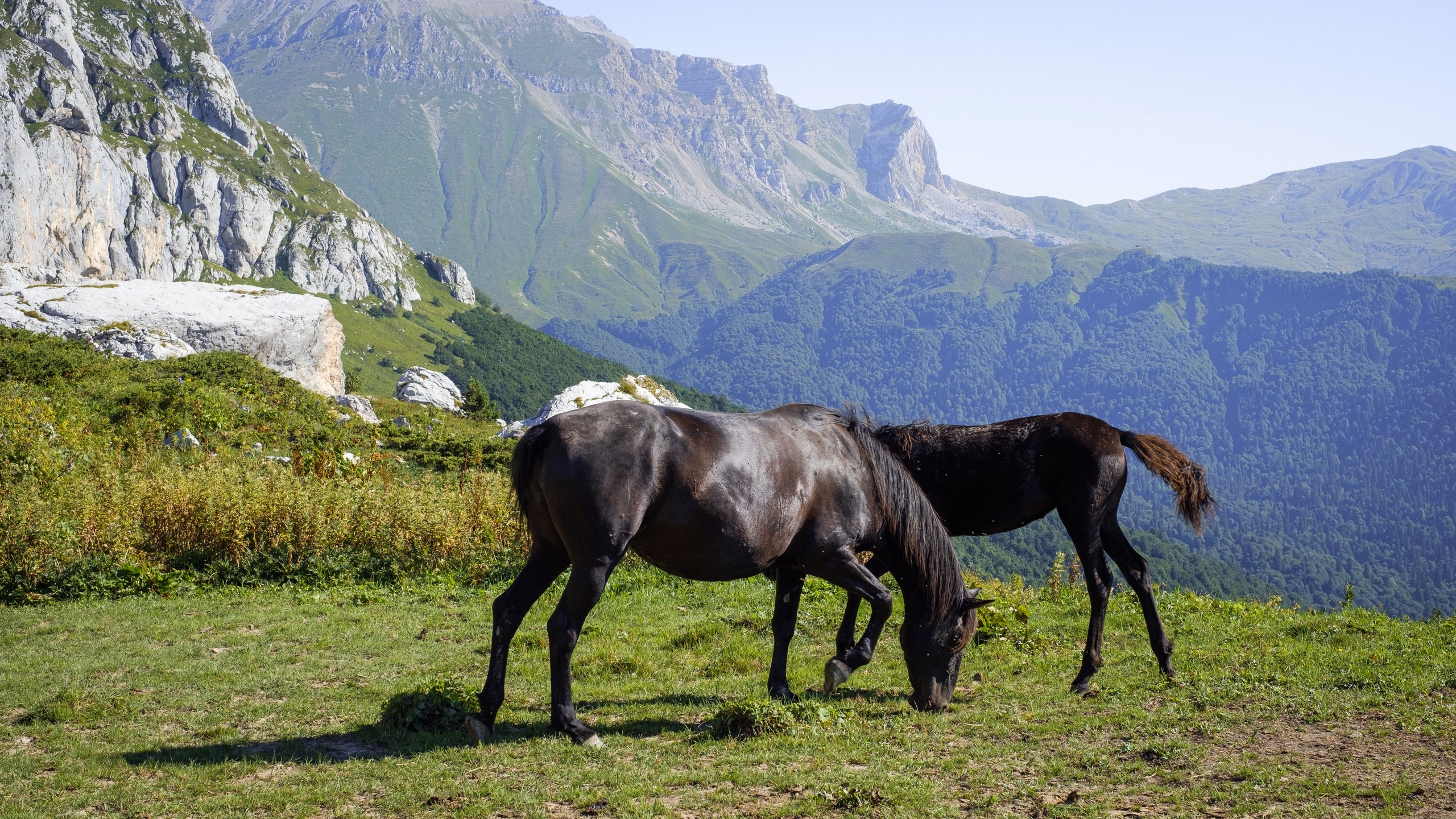 Тридцатка | август 2023