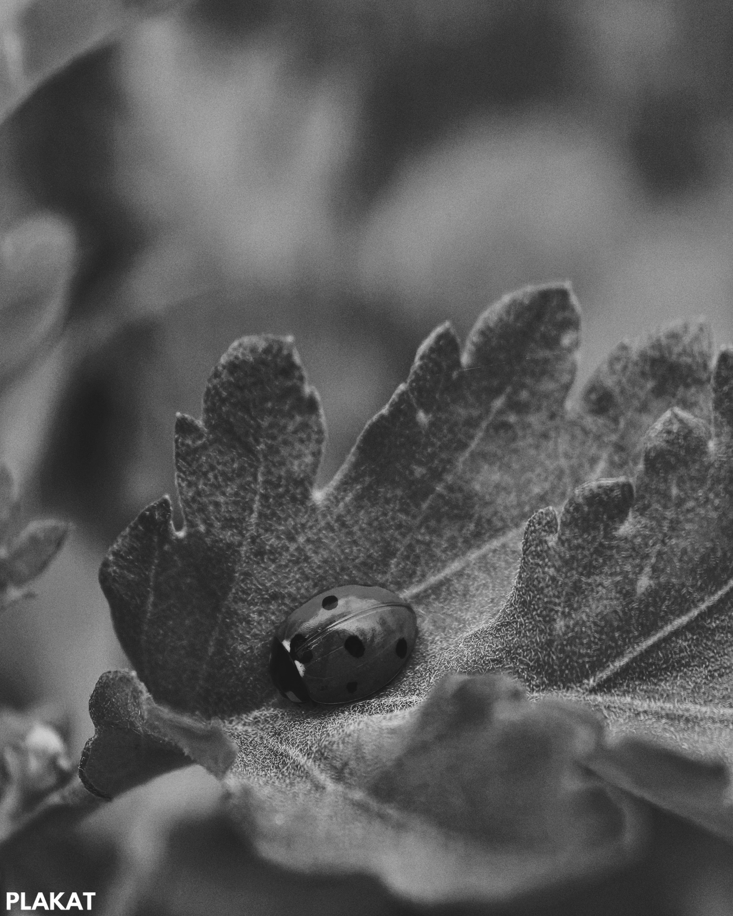 @natallii_zhukovskaya