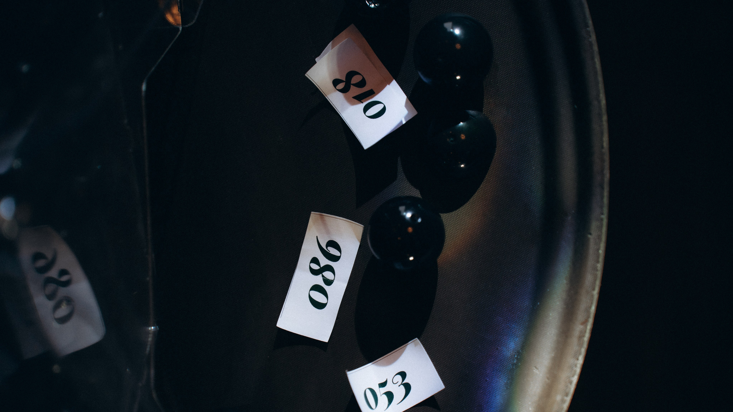 Roya. Фотограф Москва Селюкова Юлия