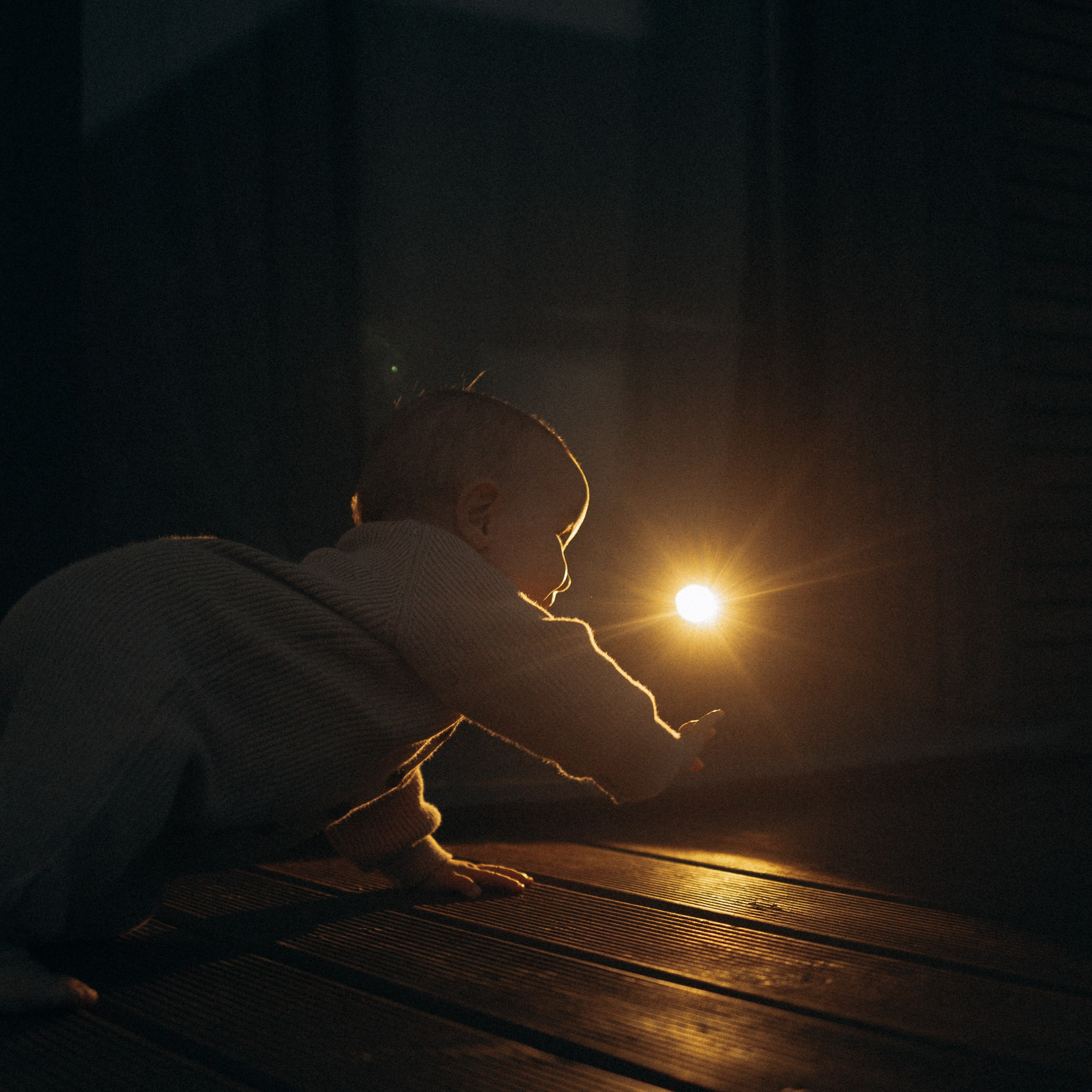 Семейная. Фотораф — анималист Мария Шистка