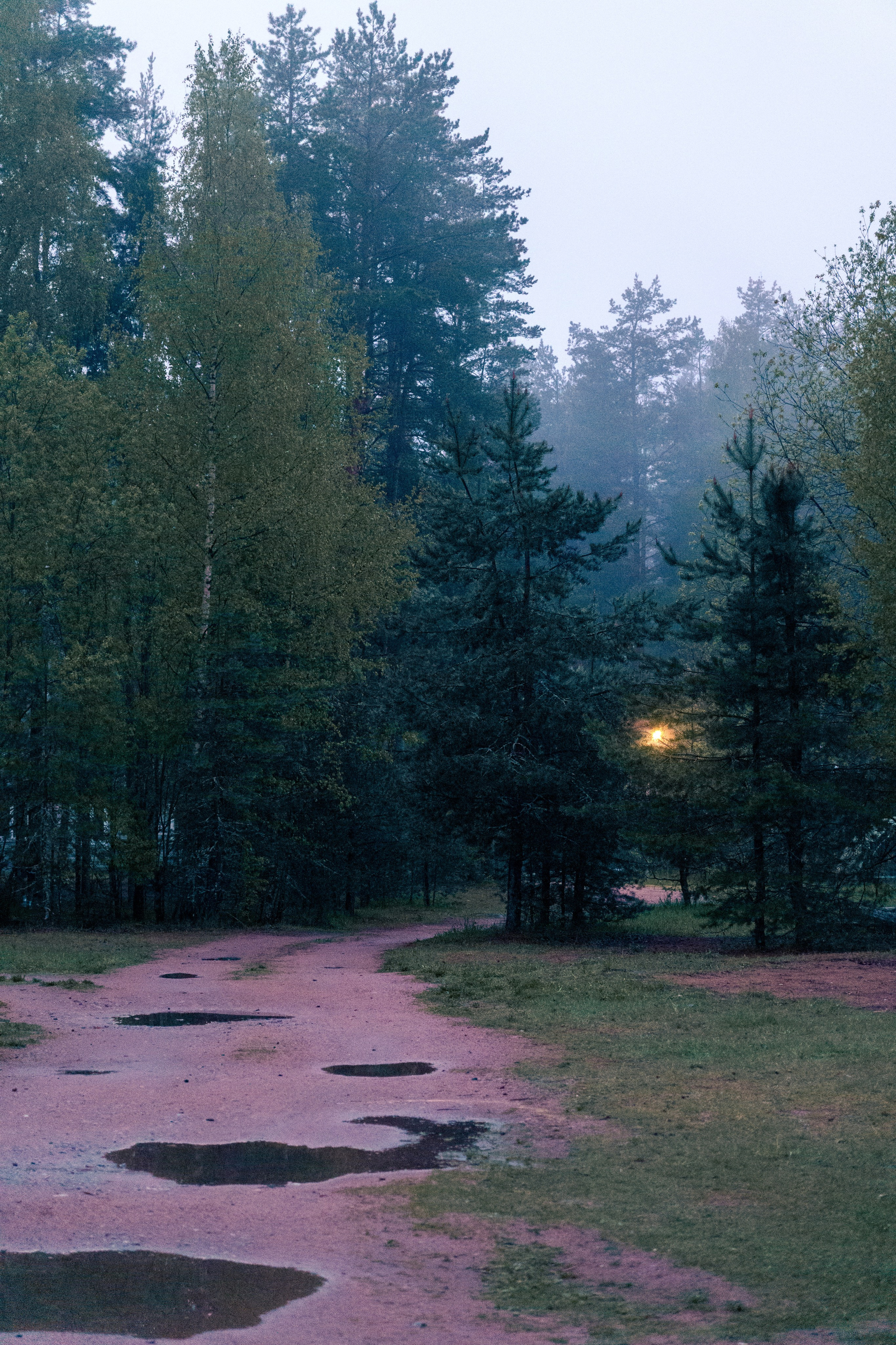 Природа. Фотограф в Санкт-Петербурге Ибрагимова Алина