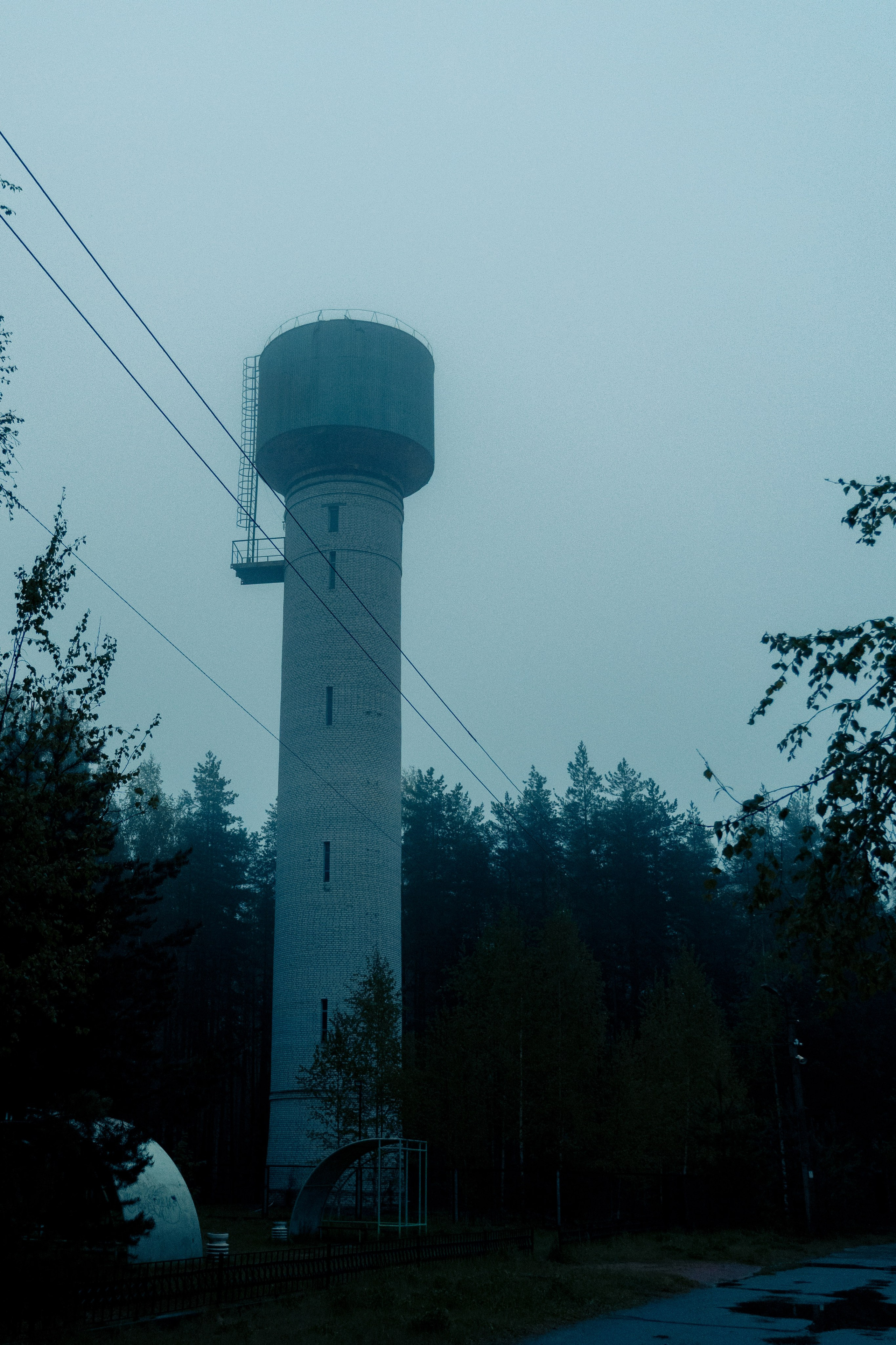 Природа. Фотограф в Санкт-Петербурге Ибрагимова Алина