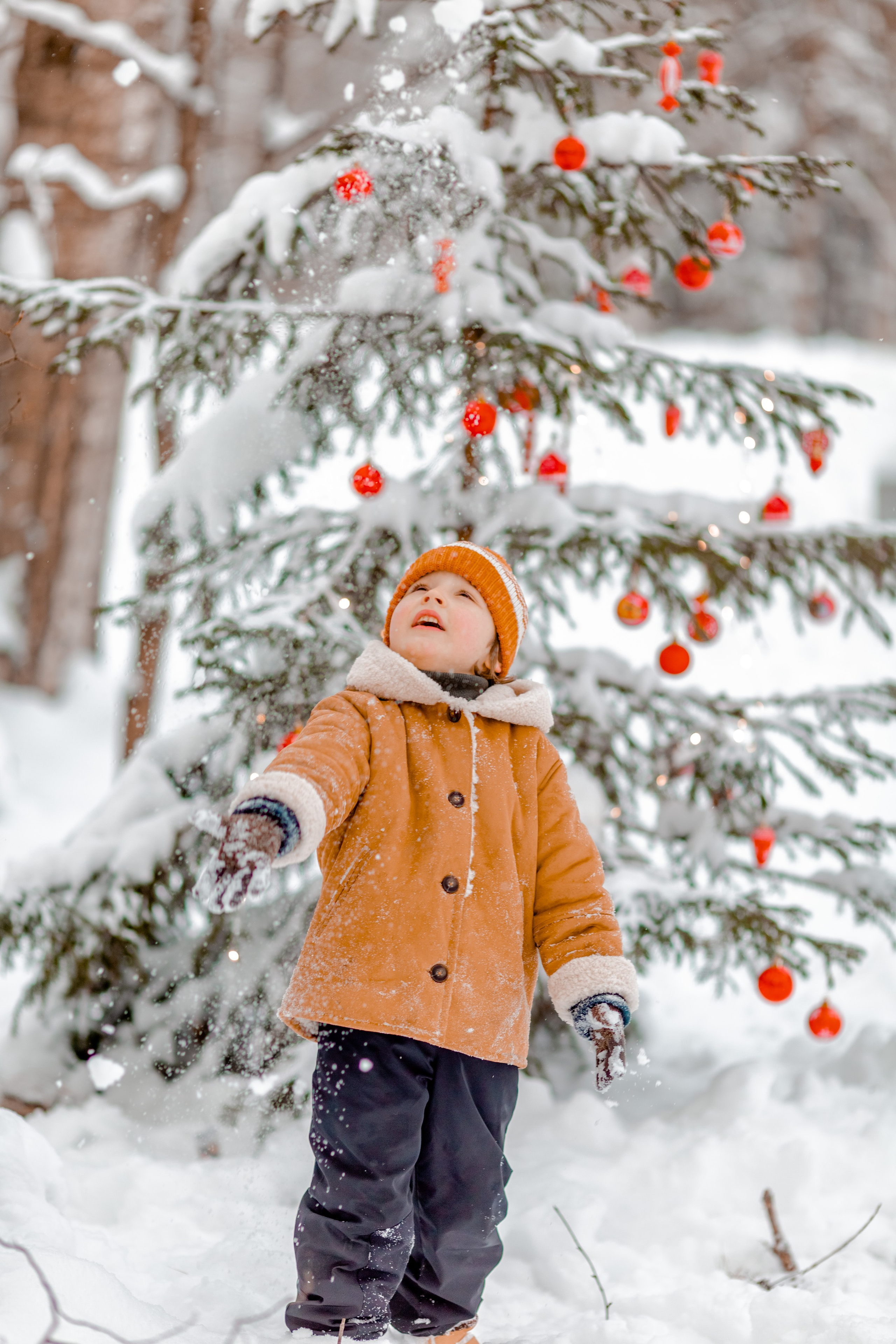 Зимний лес. Семейный и детский фотограф в Москве Алёна Кораблина