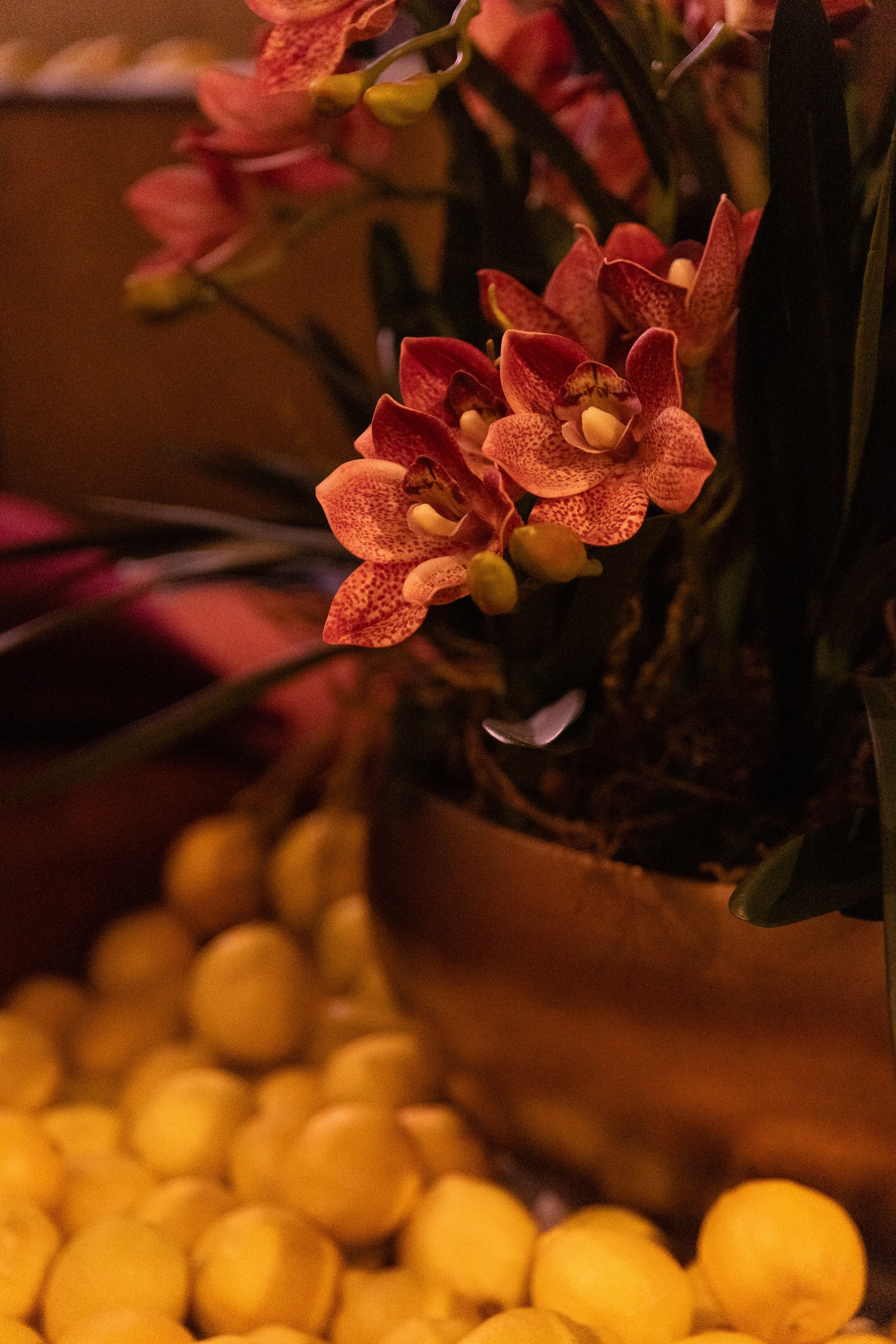 Julia's B-day. Главная