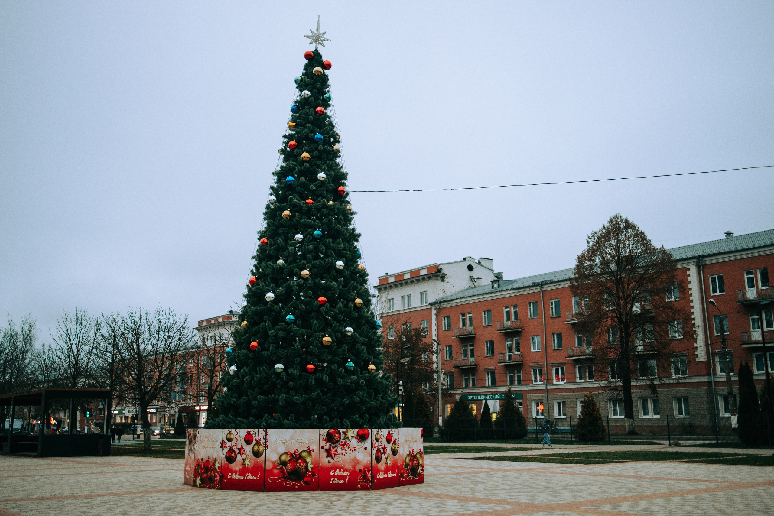 Алексин. Свадебный и семейный фотограф в Туле и области Маша Костина