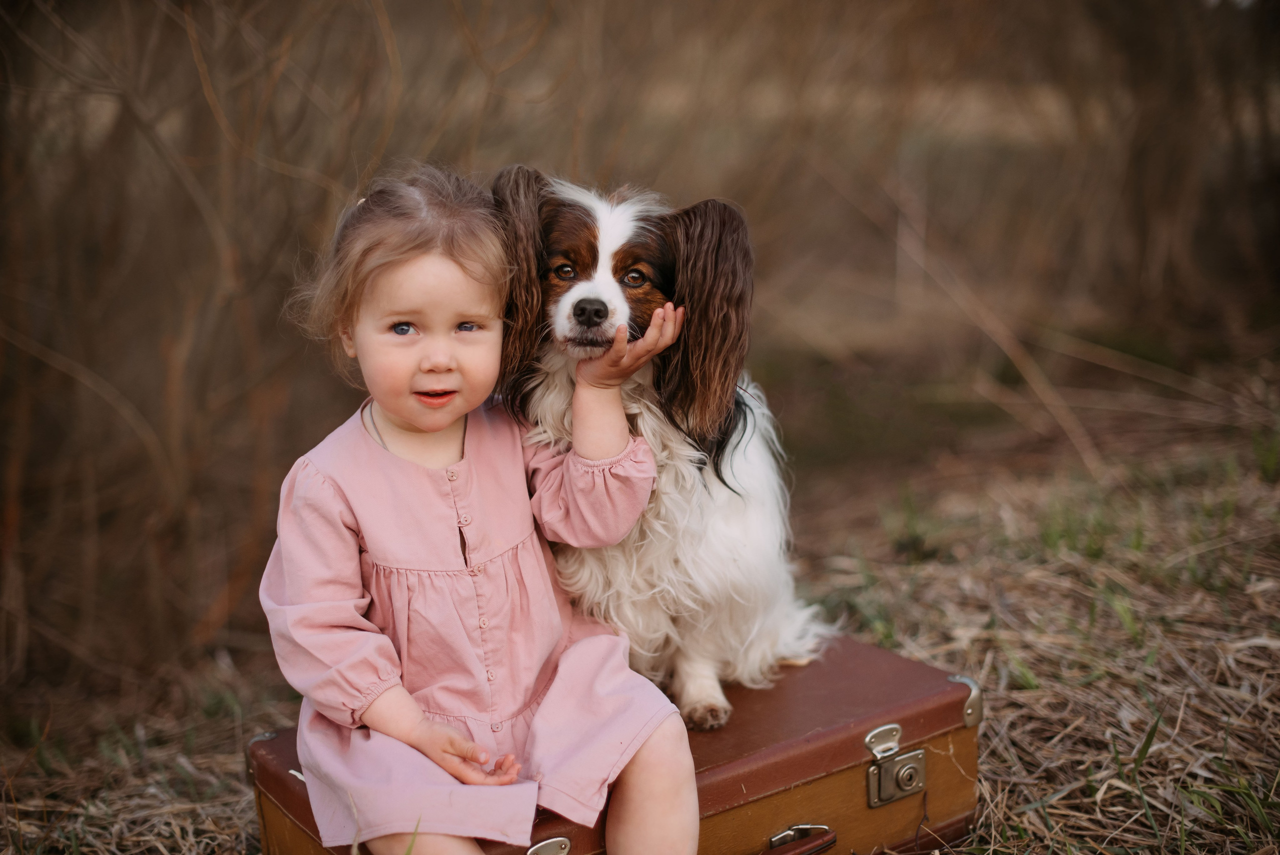 Фотограф-анималист Валерия, Москва, Мытищи