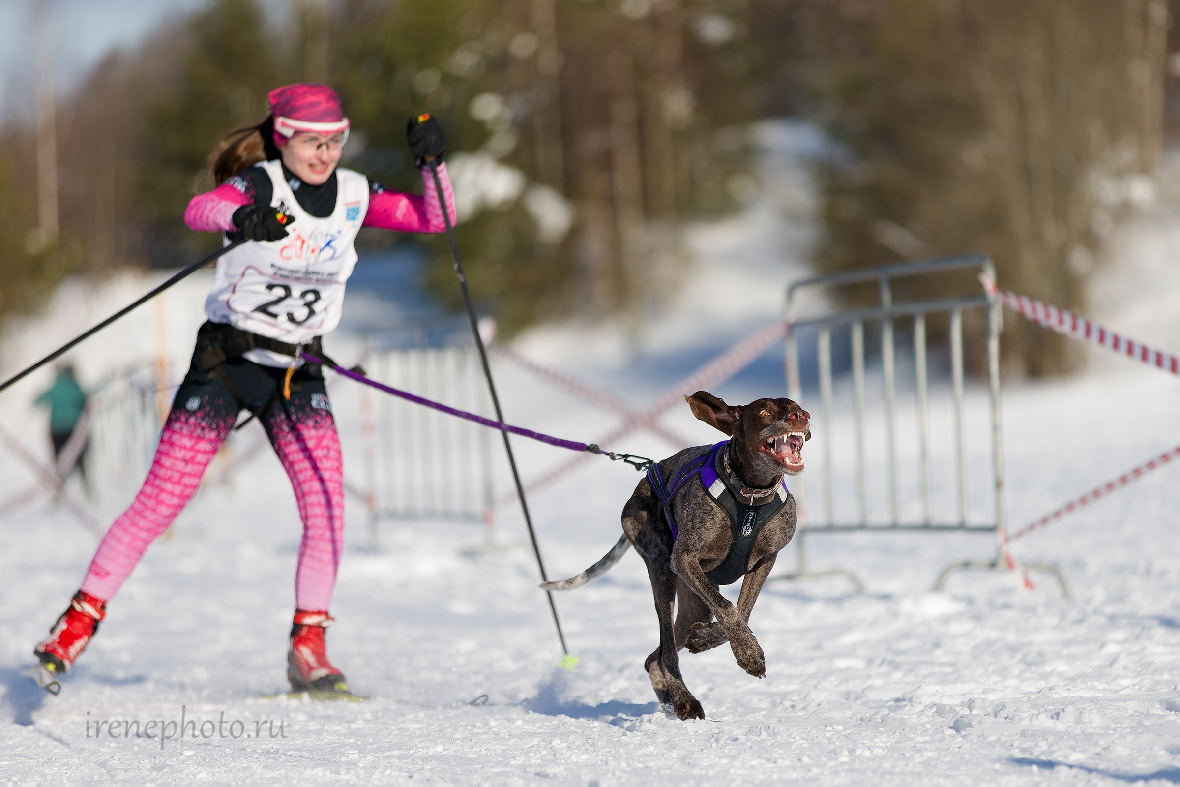 Чемпионат и Первенство Ленобласти — зима 2026. Irenephoto.ru