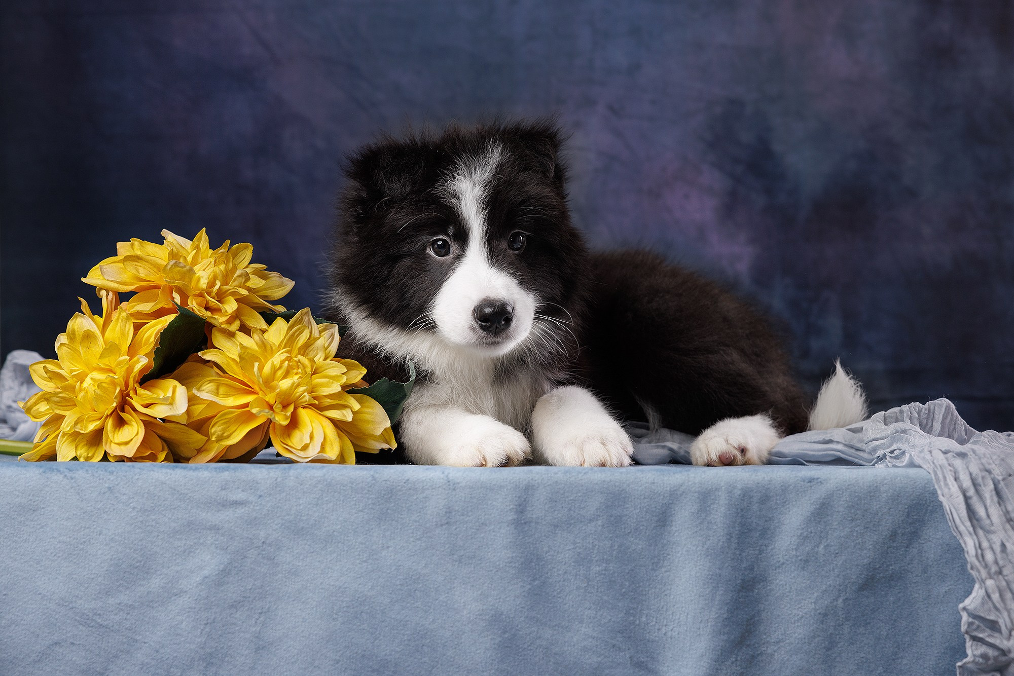 На водной основе. О нас