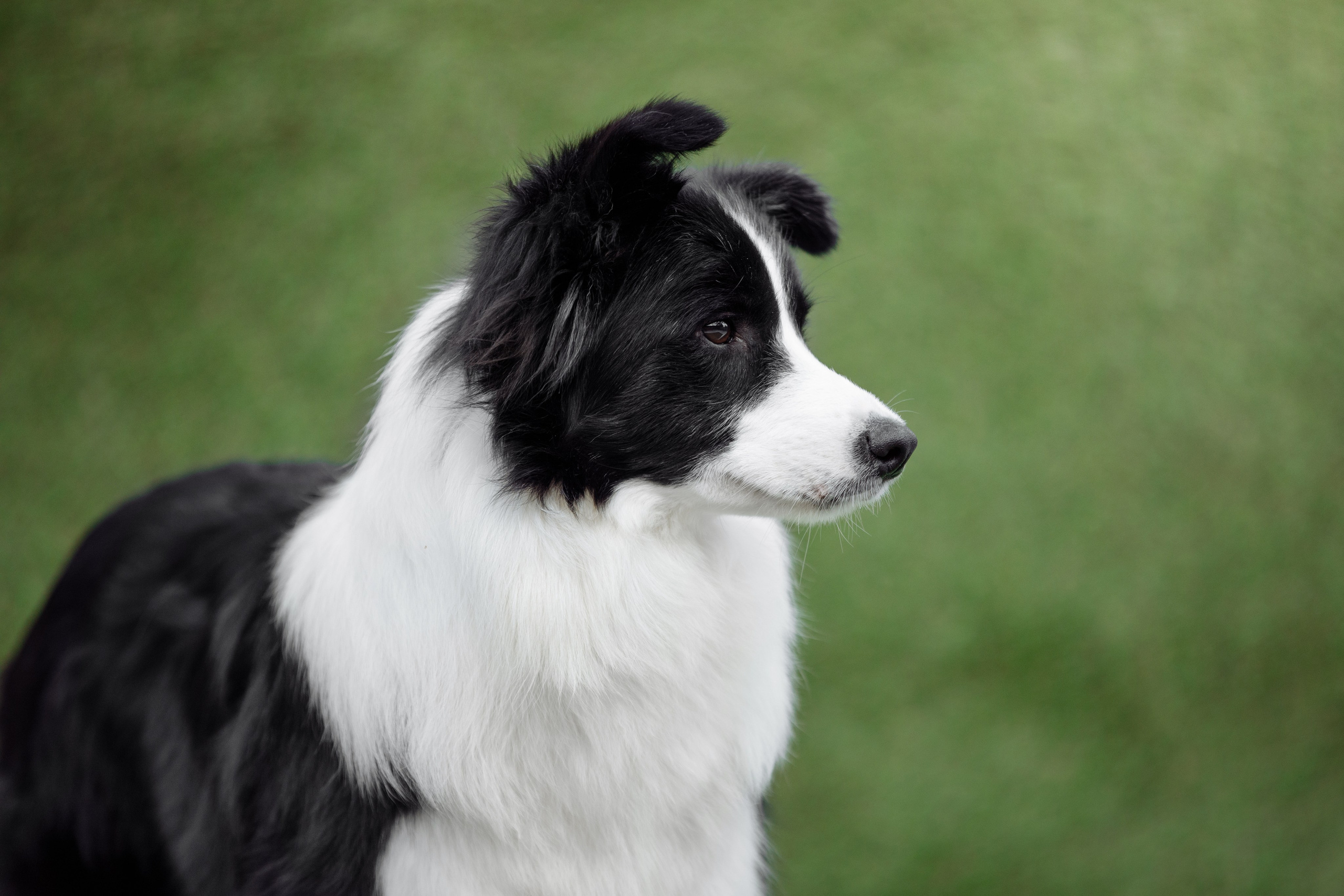 Свое место. О нас