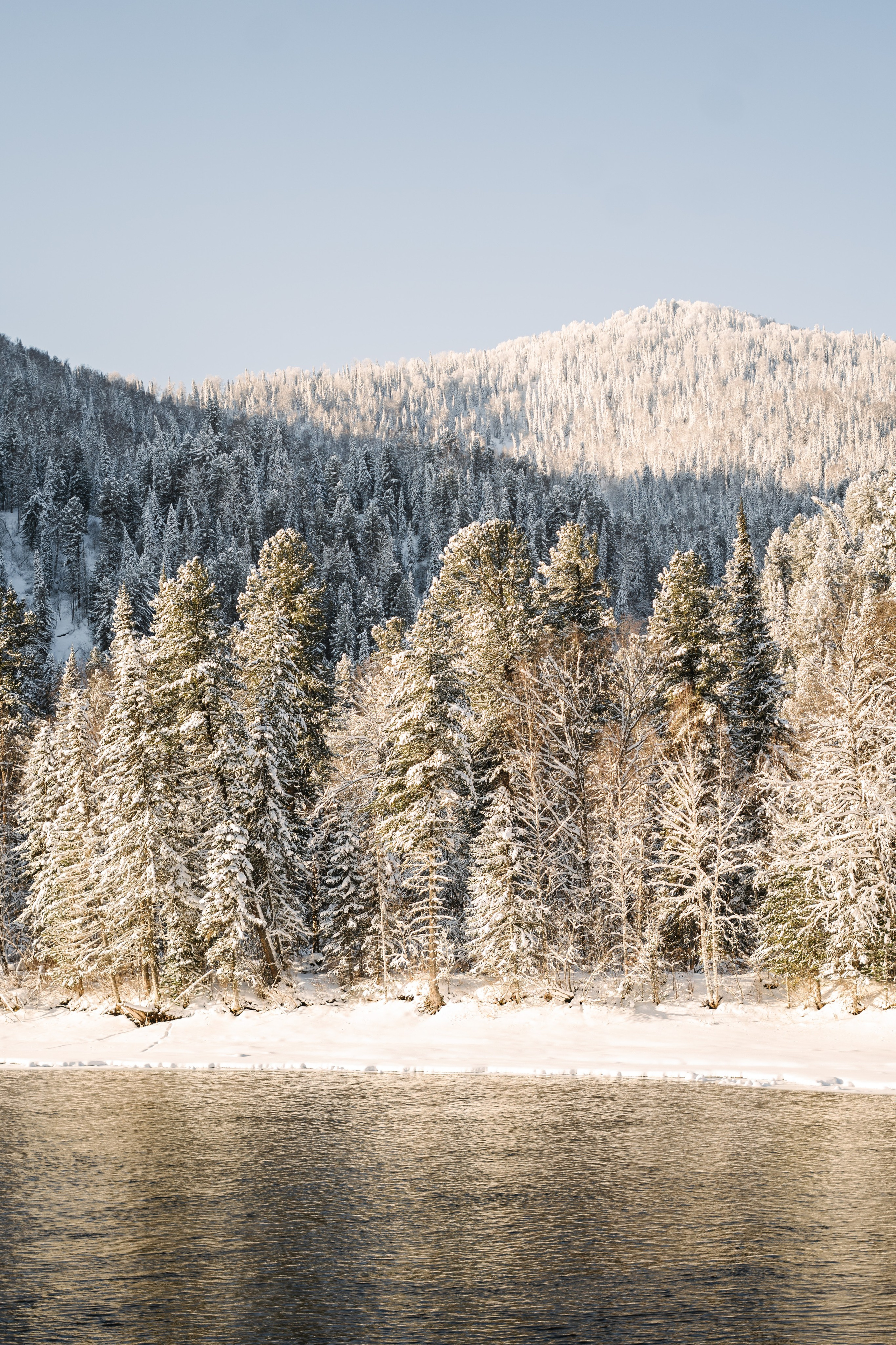 Релекс ТЕЛЕЦКОЕ. Фотограф Ольга Пучкова