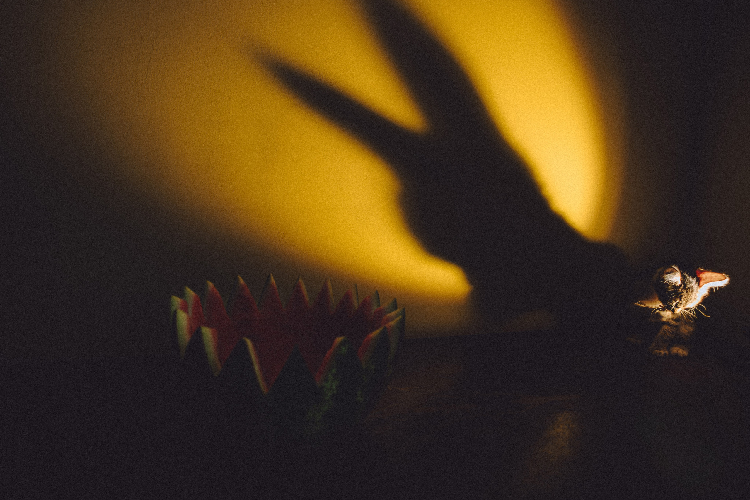 Сирена и арбуз