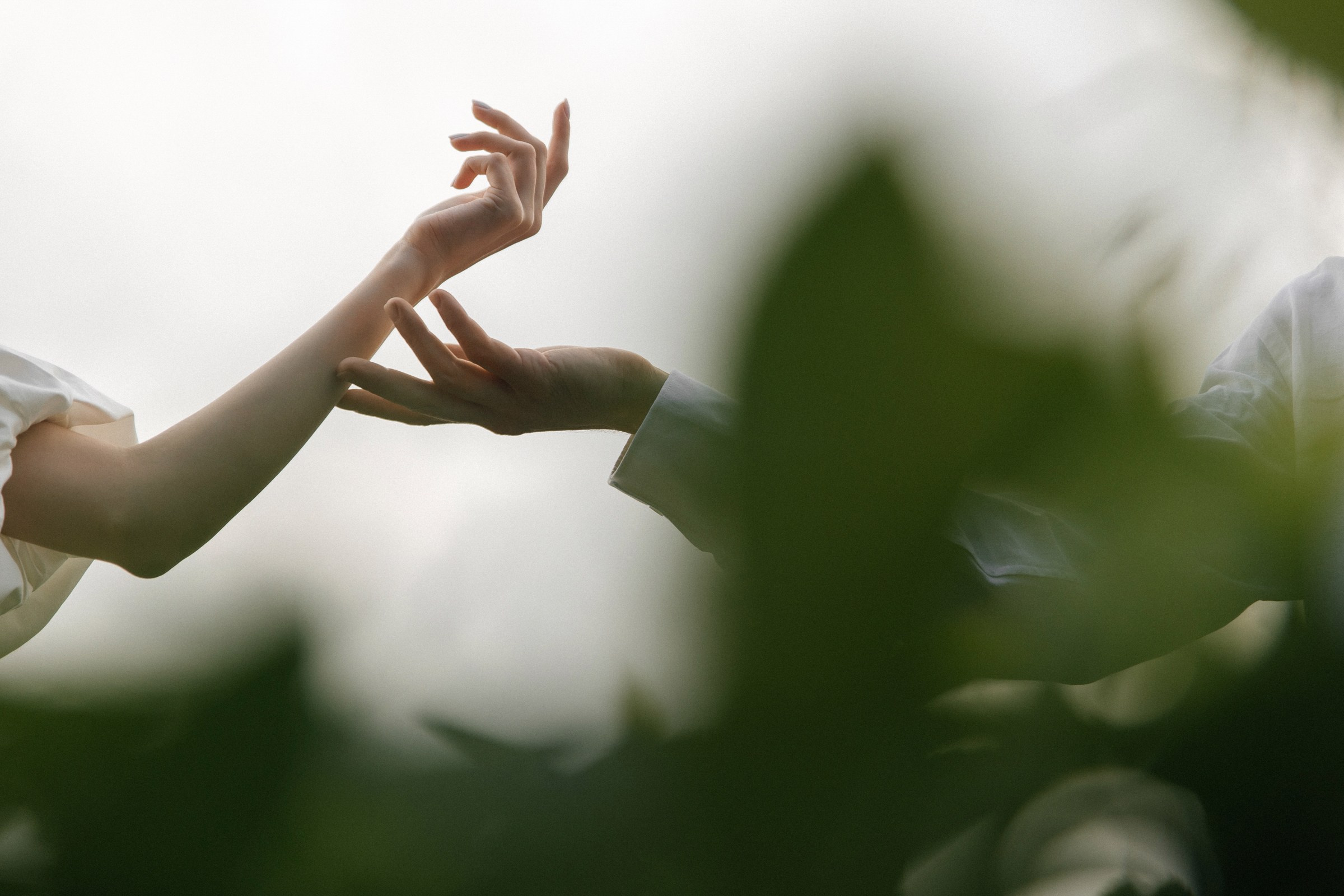 Он, она и слоны. Свадебный фотограф в Ростове-на-Дону