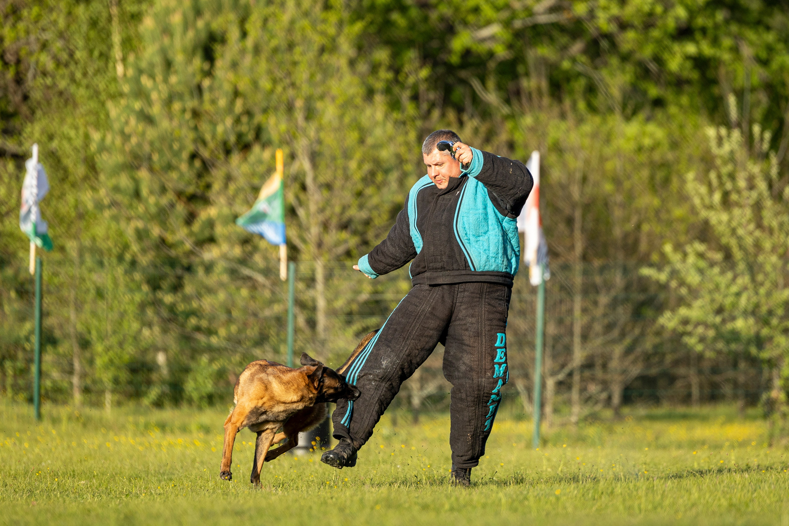 Испытания по мондьорингу в Нижнем Новгороде. Фотограф-анималист Анна Маринич
